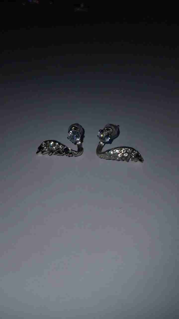 Aros con circones y diseño de ala