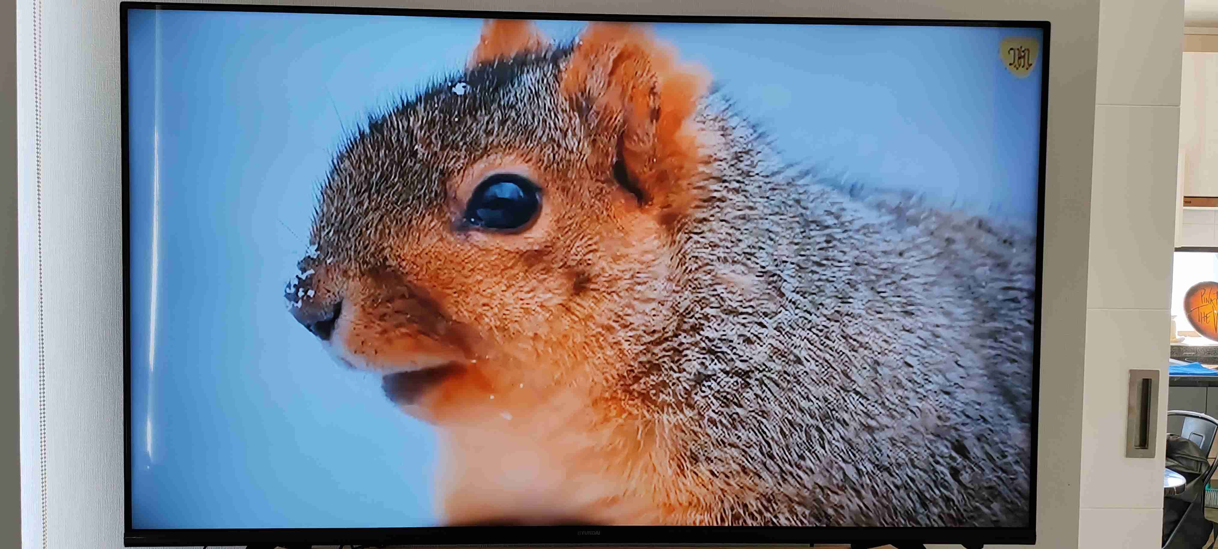 Smart TV Hyundai 55 pulgadas - miniatura 5