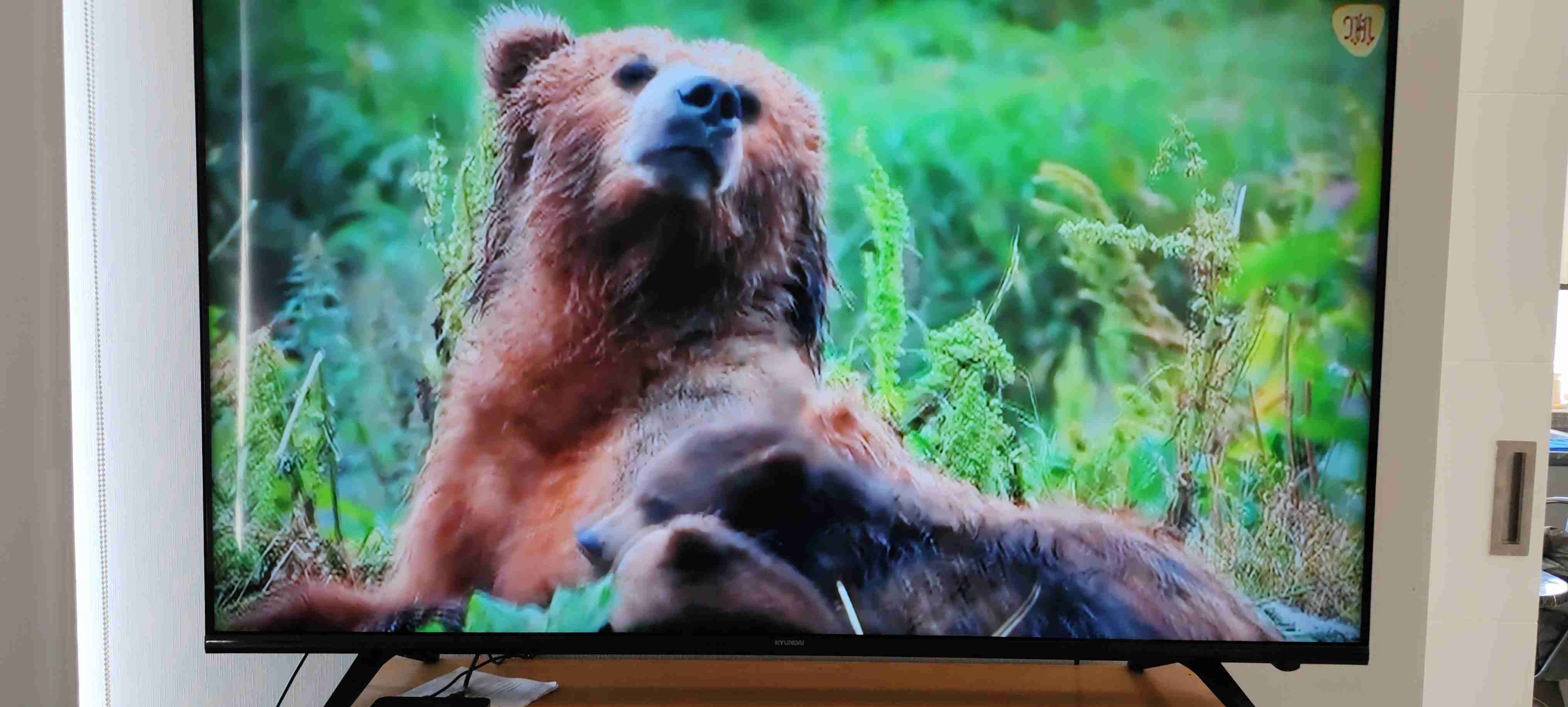Smart TV Hyundai 55 pulgadas - miniatura 6