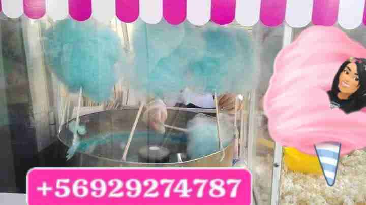 Cabritas y algodón de azúcar - 2