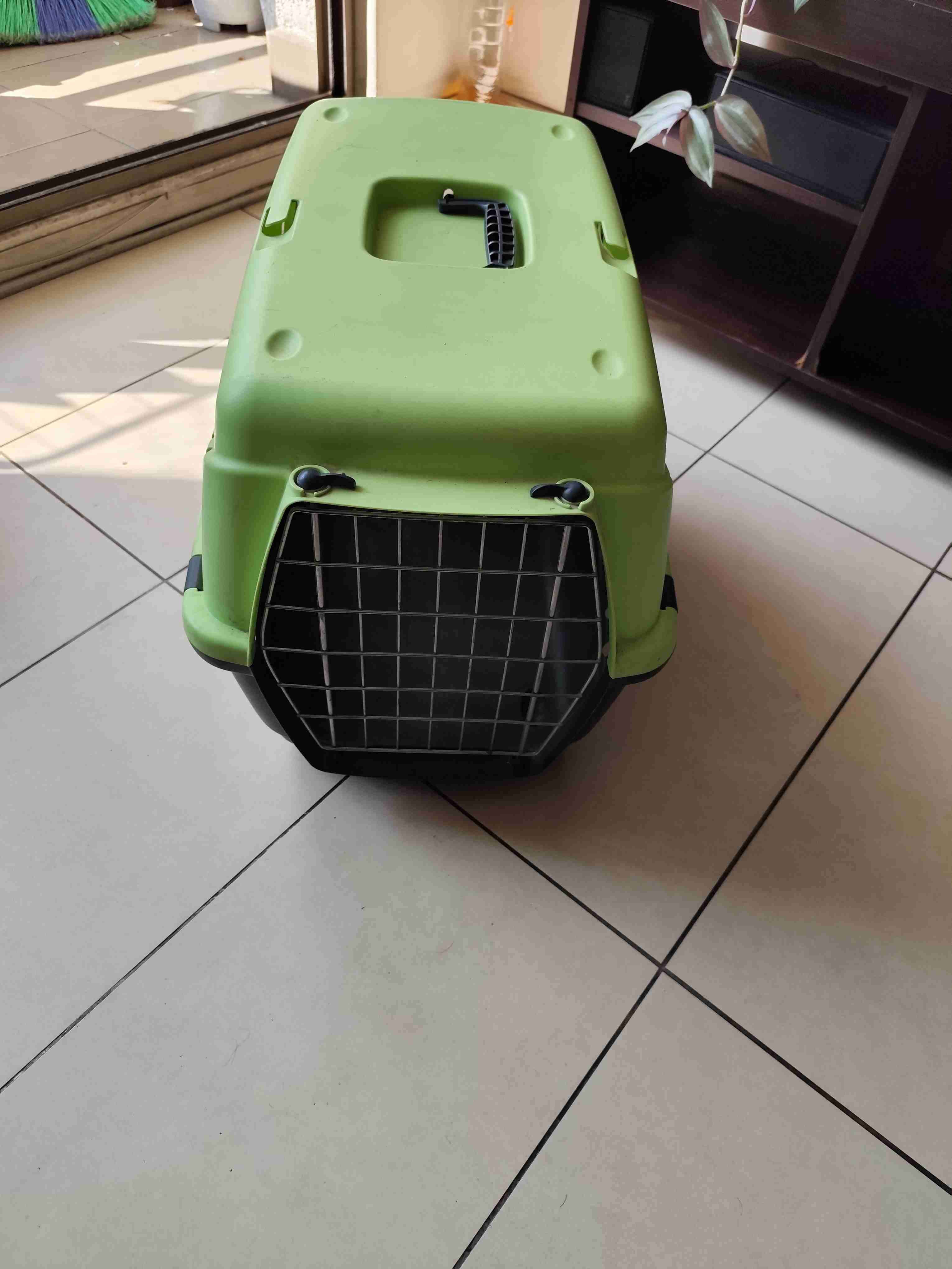 Transportadora para mascotas verde - miniatura 1