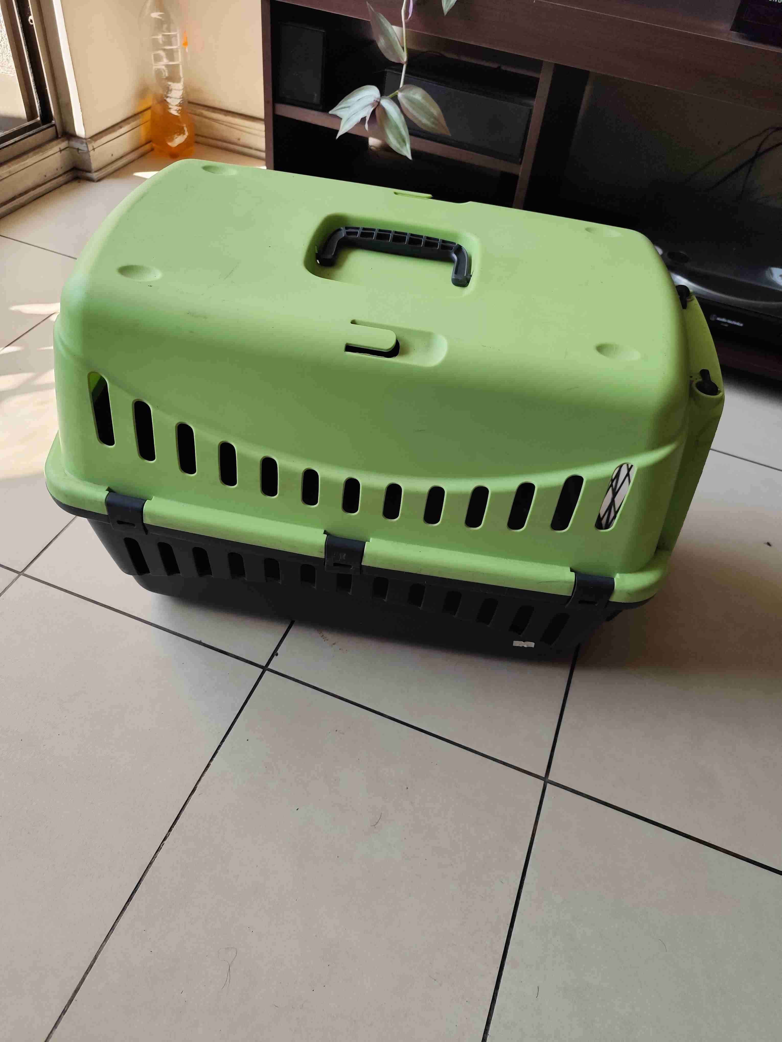 Transportadora para mascotas verde - miniatura 3