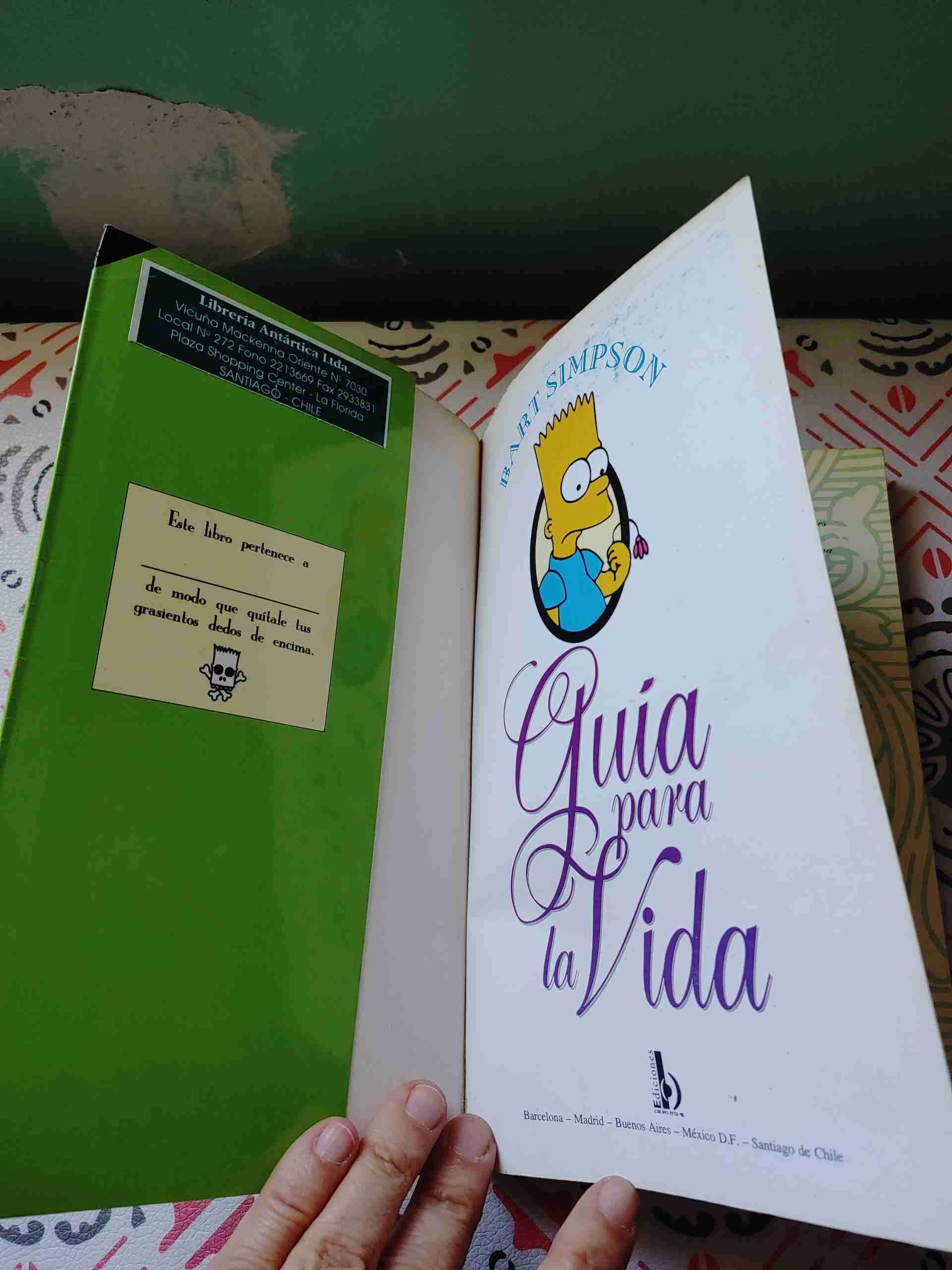 Guía para la vida de Bart Simpson - miniatura 3