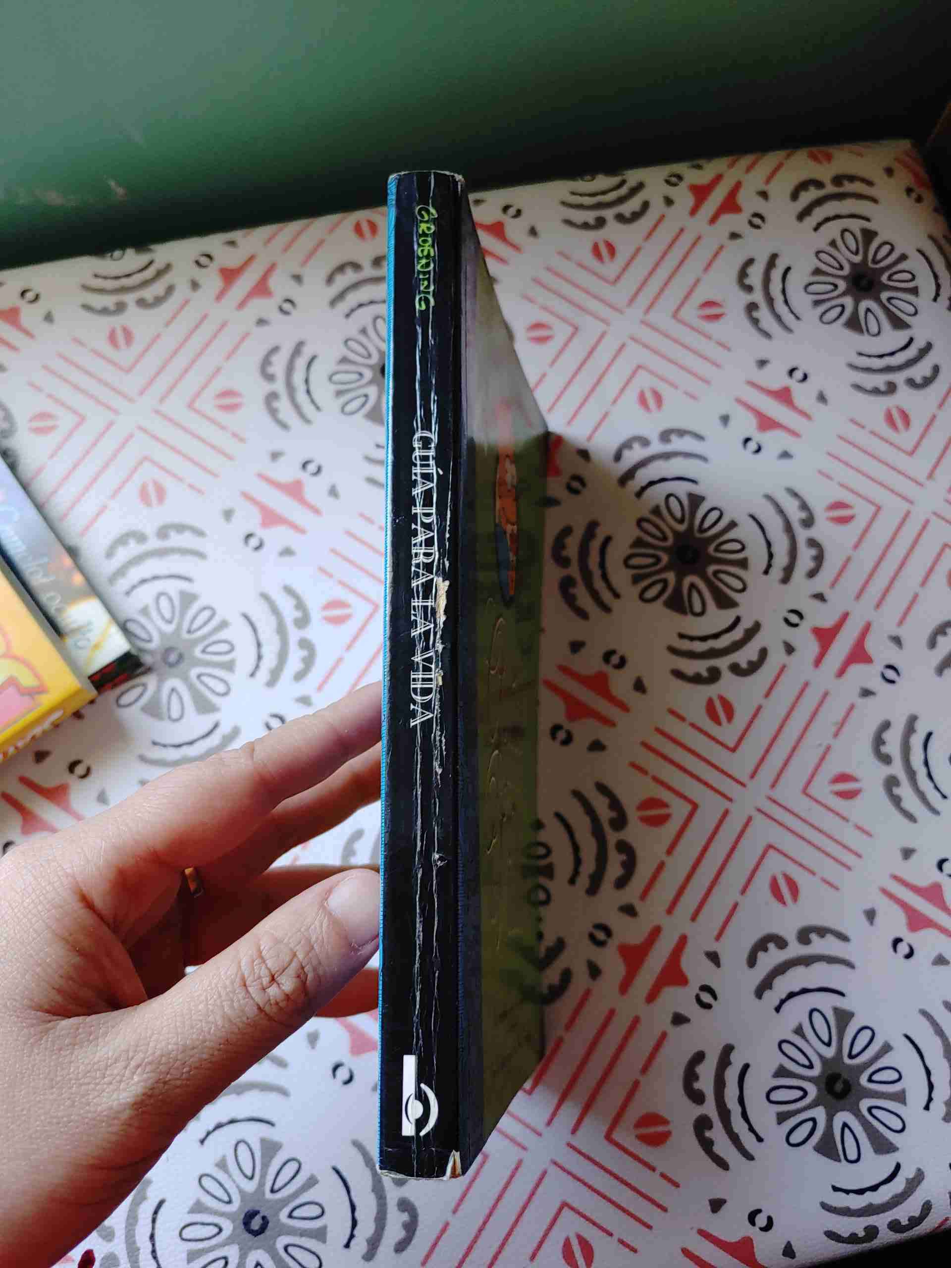 Guía para la vida de Bart Simpson - miniatura 5