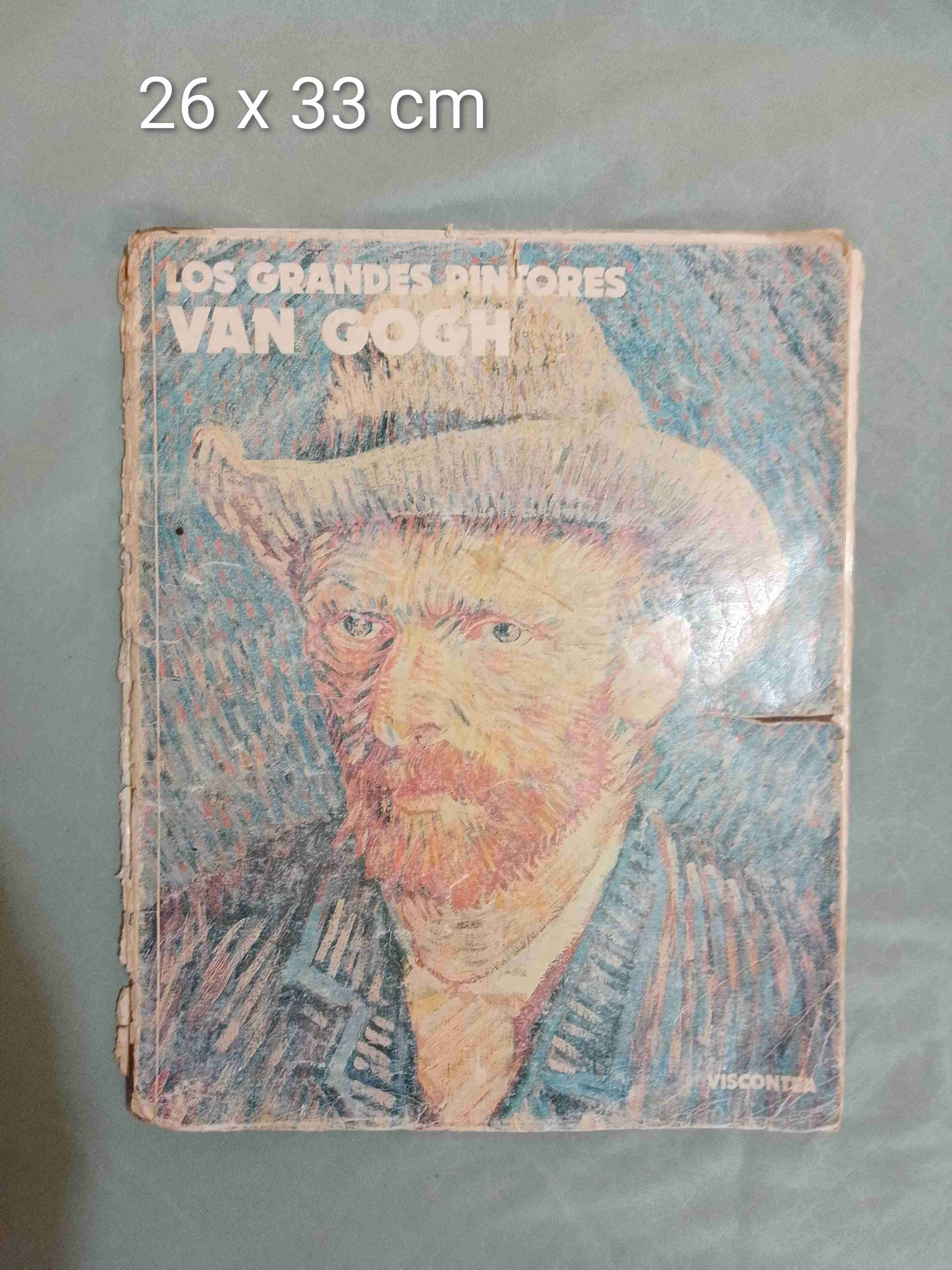 Libro 'Los Grandes Pintores Van Gogh' - miniatura 1