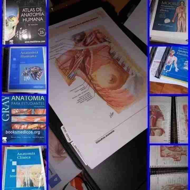 Libros - miniatura 1