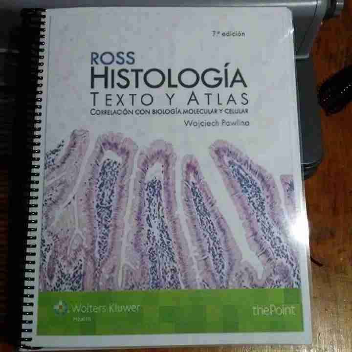 Libros - miniatura 2