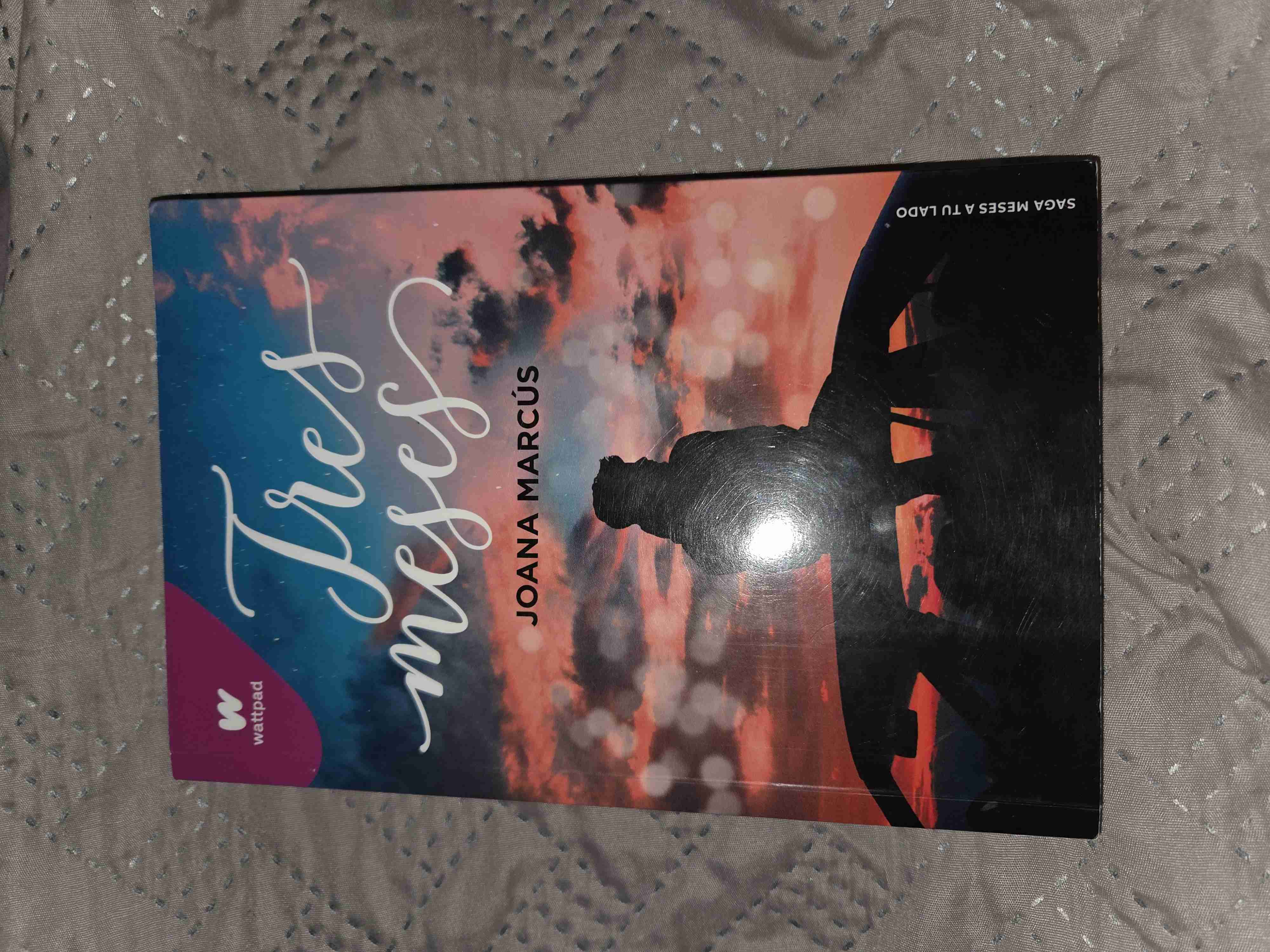 Libro Tres Meses Joana Marcús