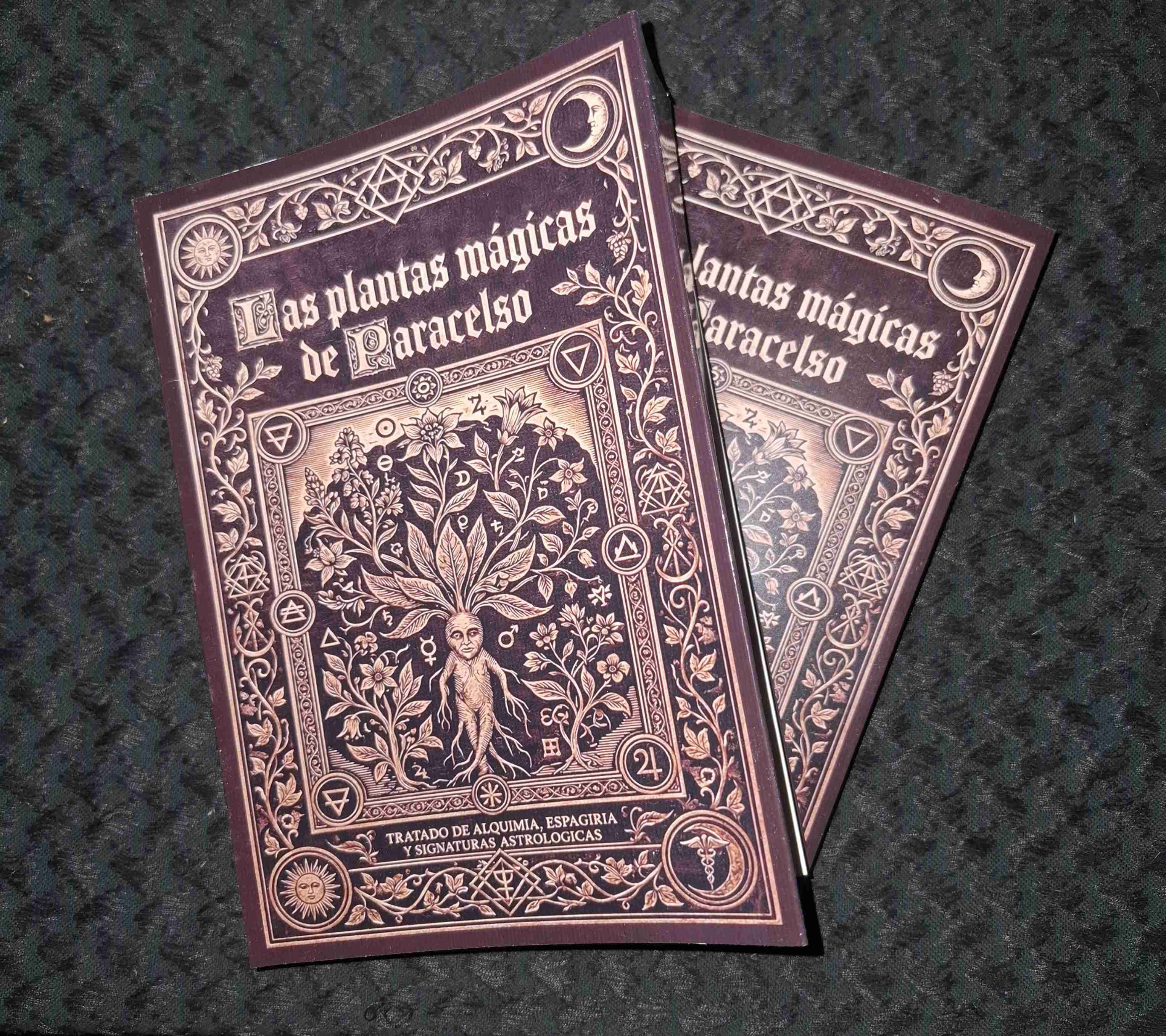 Las plantas mágicas de Paracelso - miniatura 1