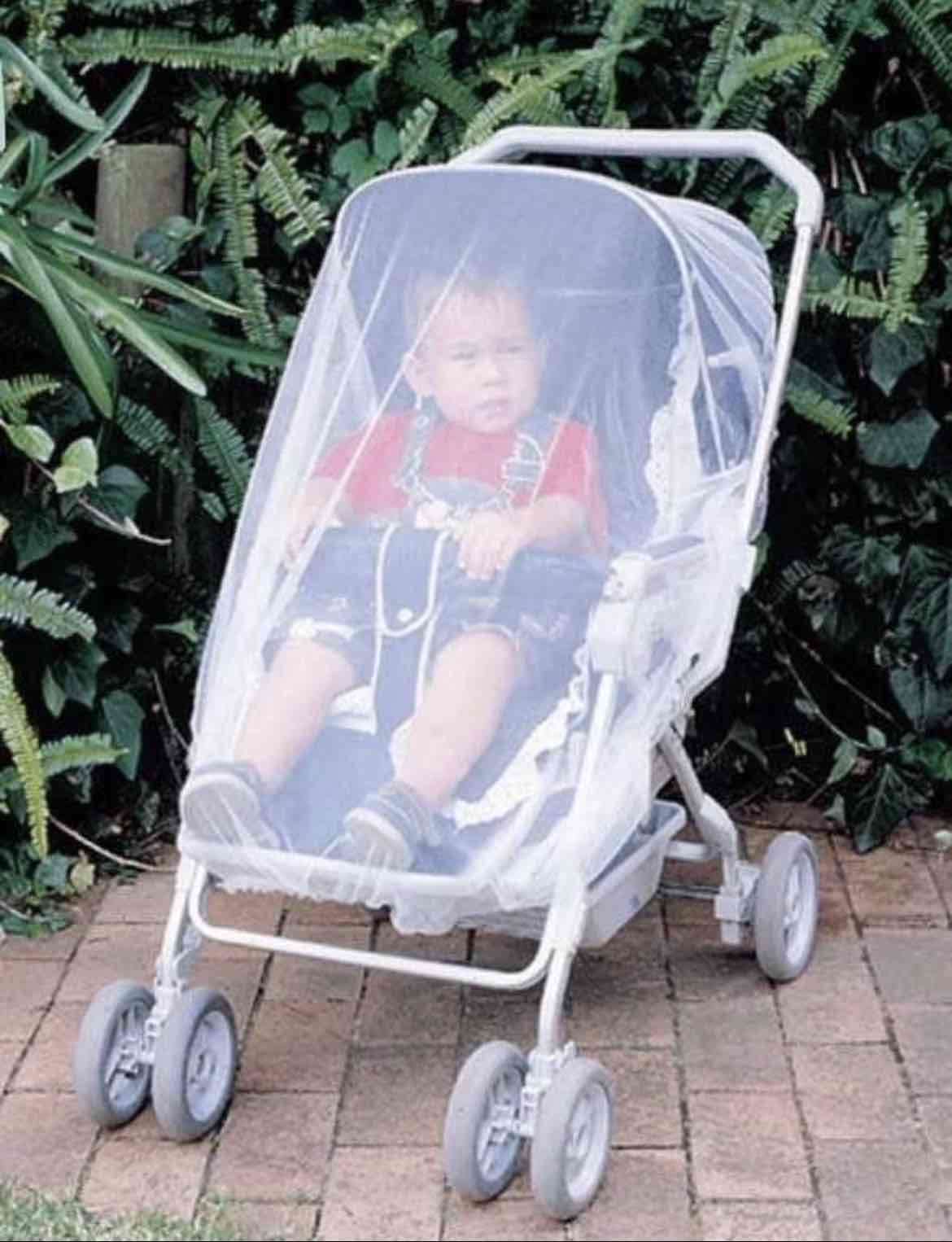 Malla protector de bebé para coche tamaño estándar - miniatura 2