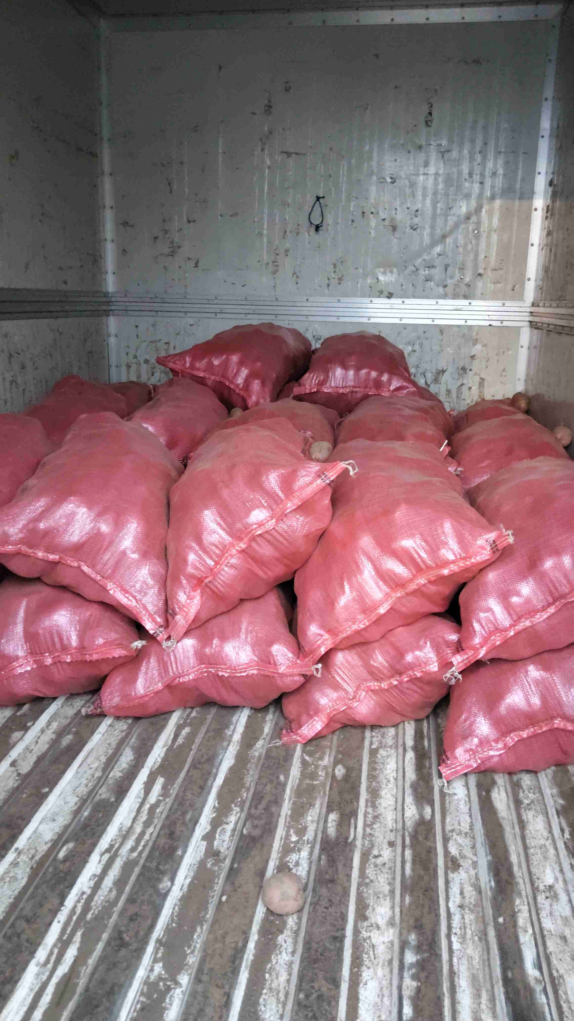 Fletes, dentro y fuera de Osorno - 1