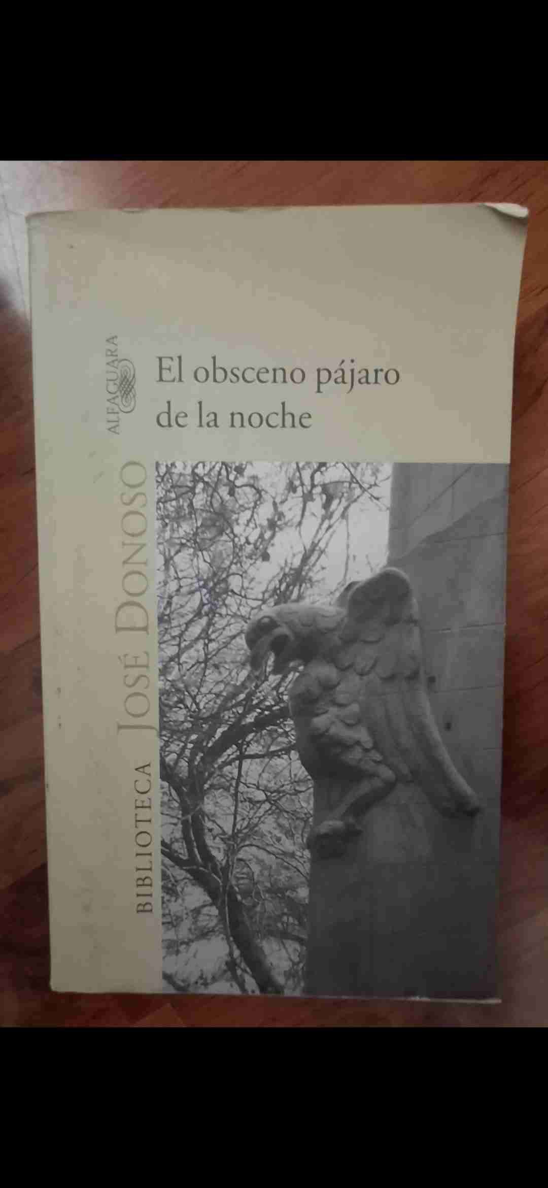 Libro El obsceno pájaro de la noche