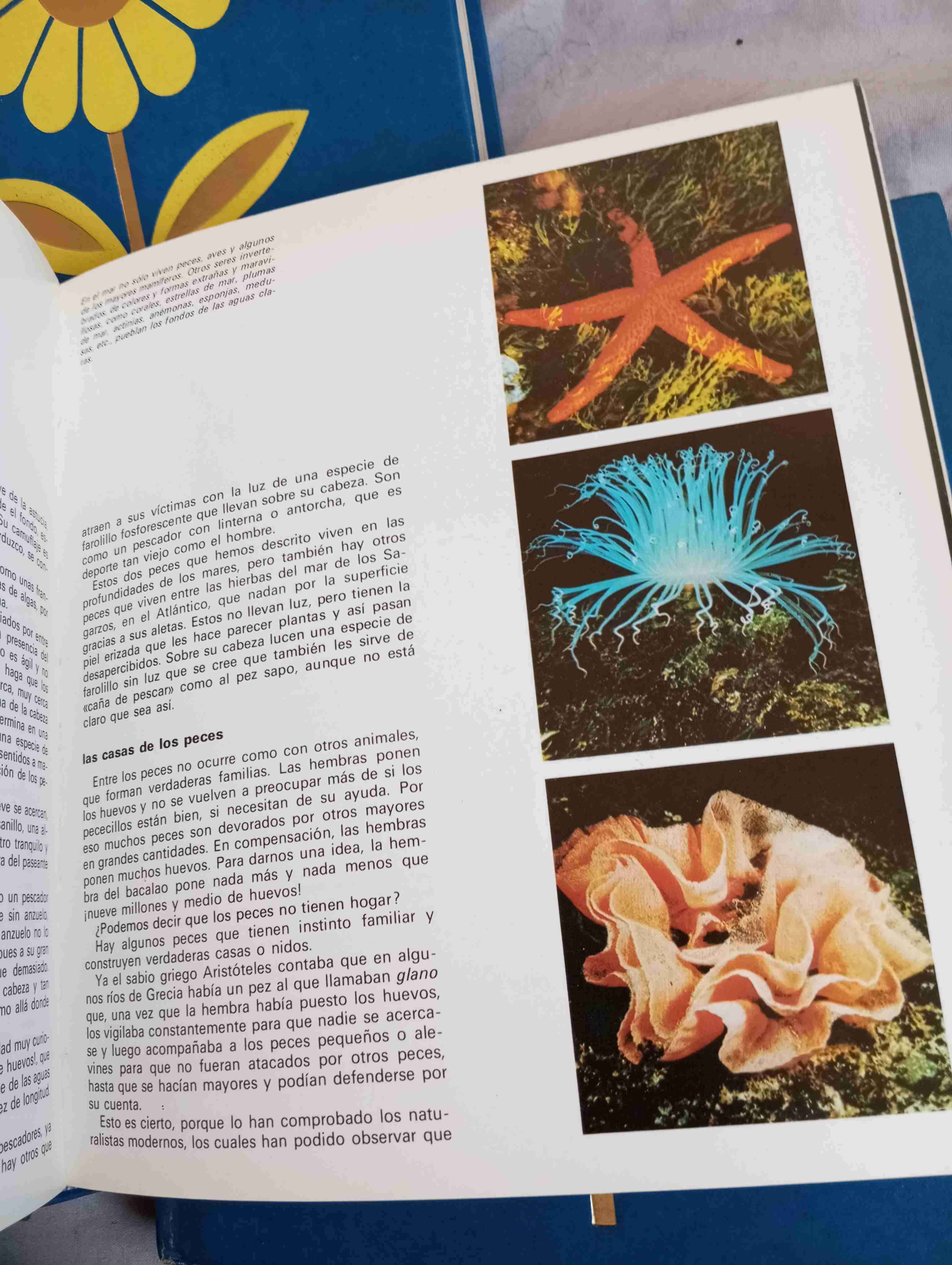 Enciclopedia Infantil 3 tomos - miniatura 2