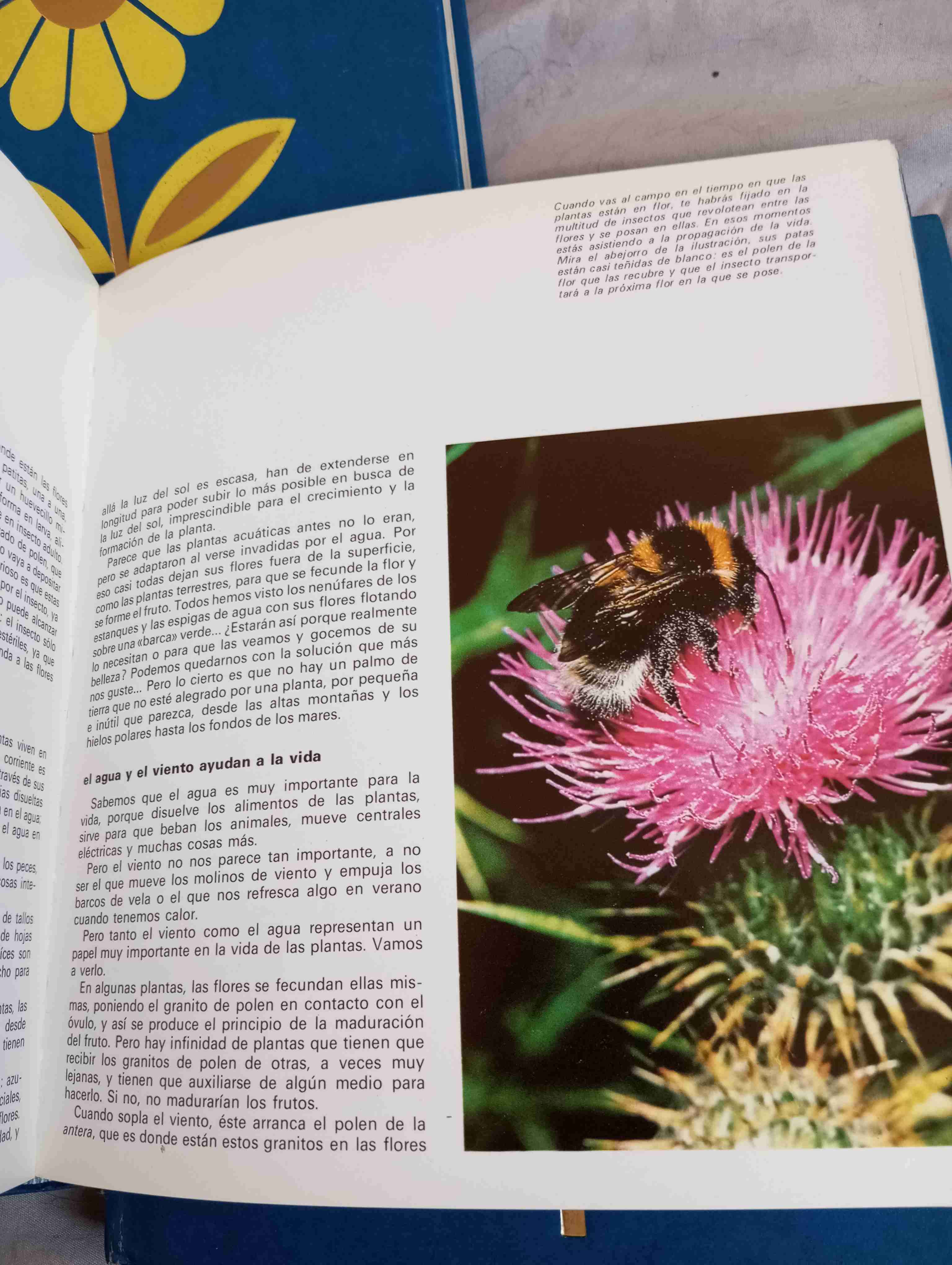 Enciclopedia Infantil 3 tomos - miniatura 3