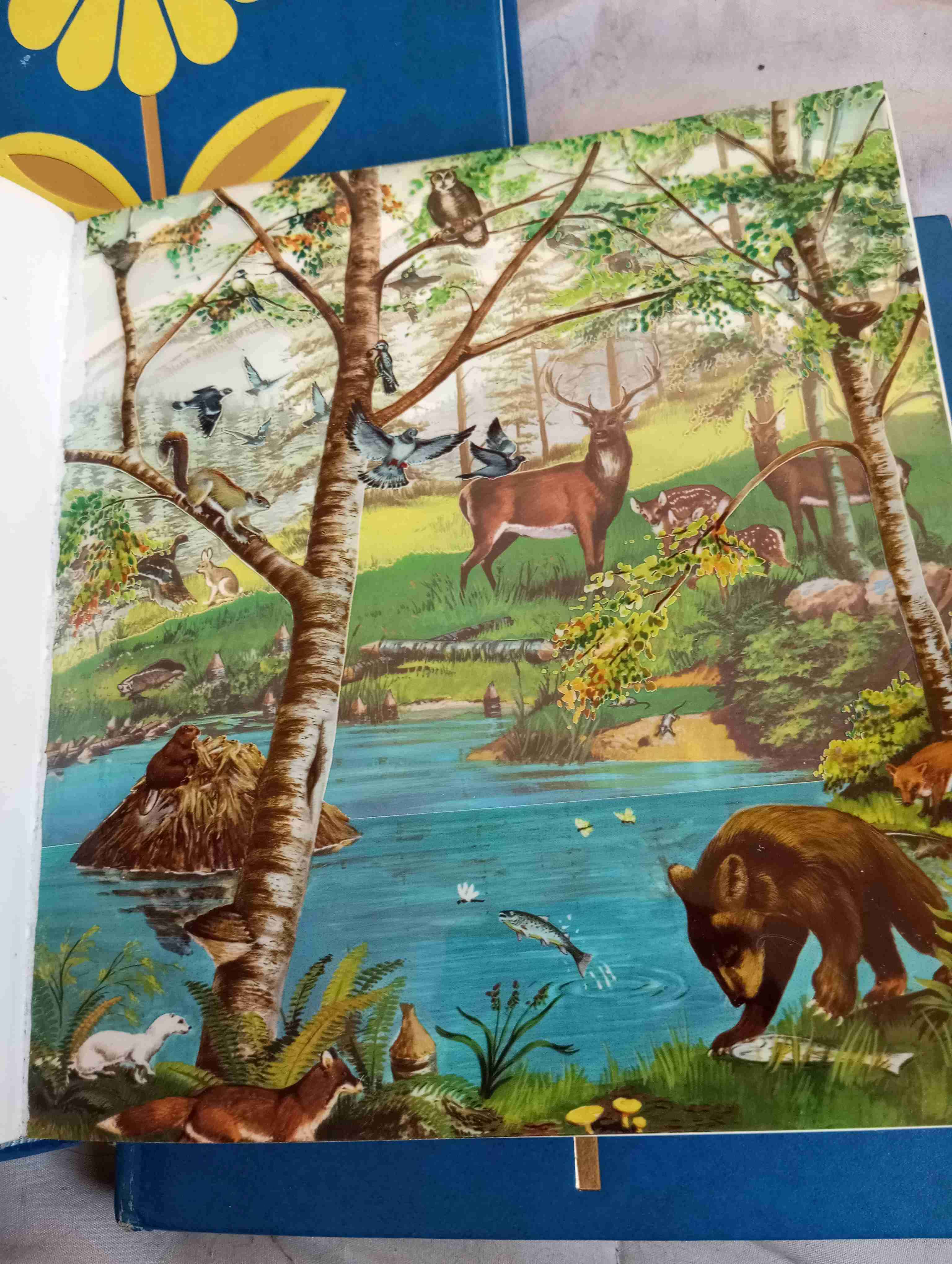 Enciclopedia Infantil 3 tomos - miniatura 4