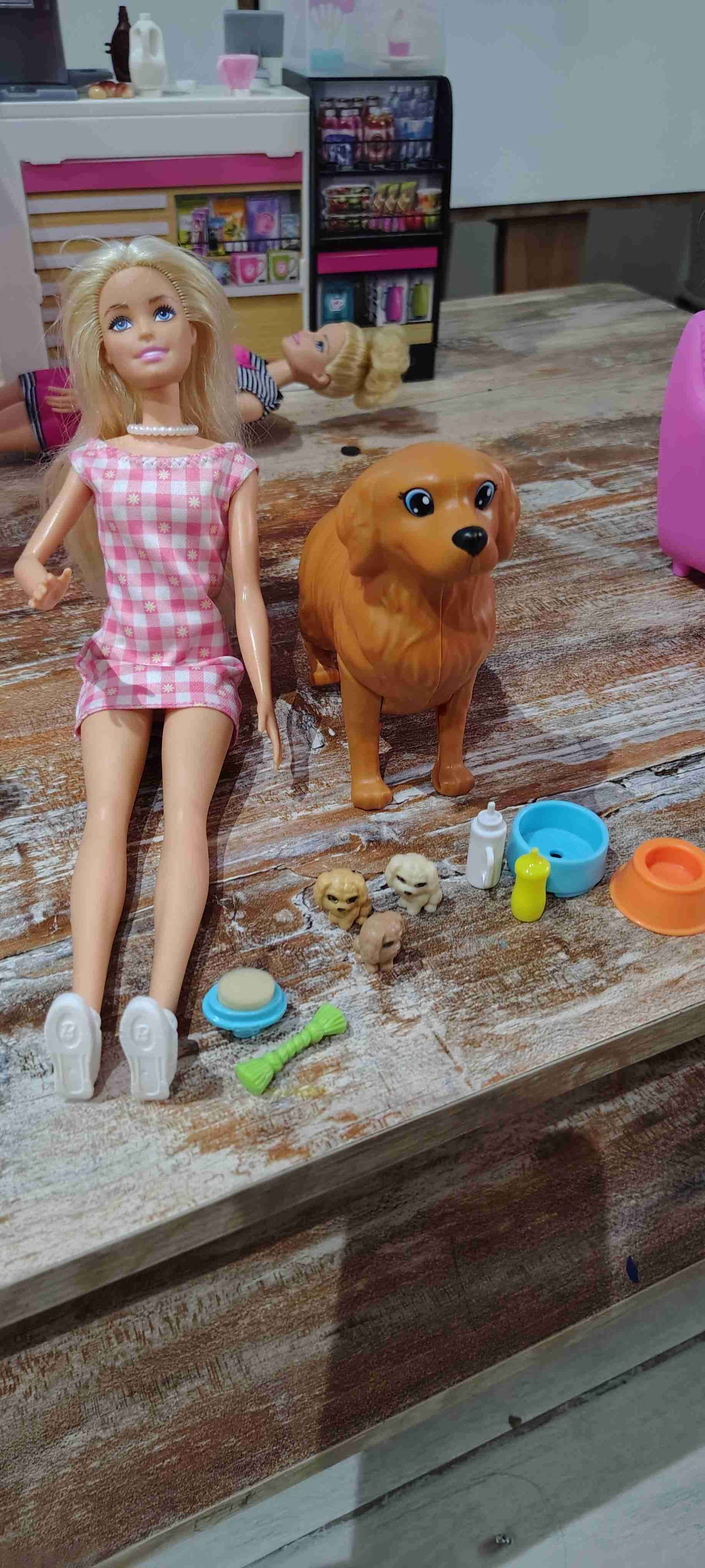 Muñeca con muebles y accesorios - miniatura 2