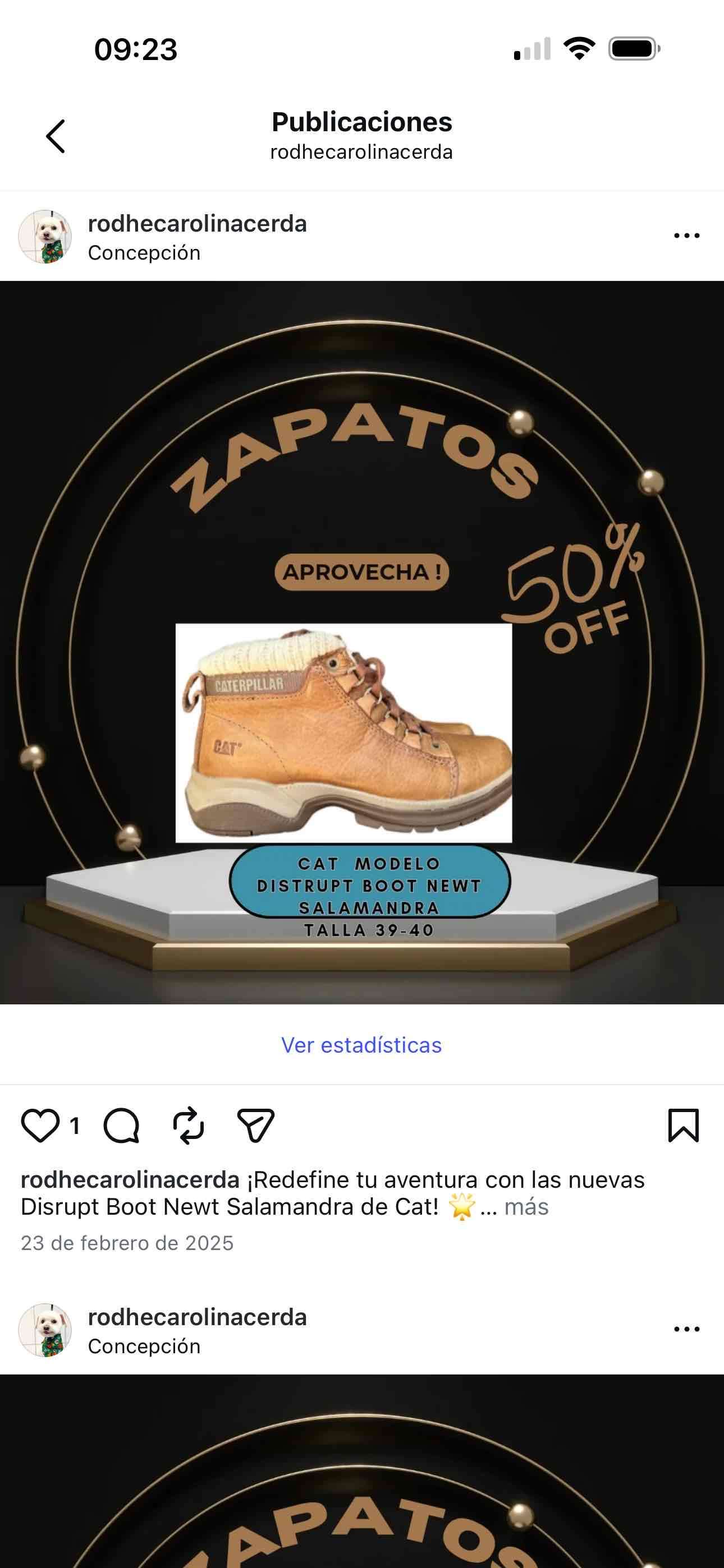 Botas Caterpillar Disrupt Boot Newt