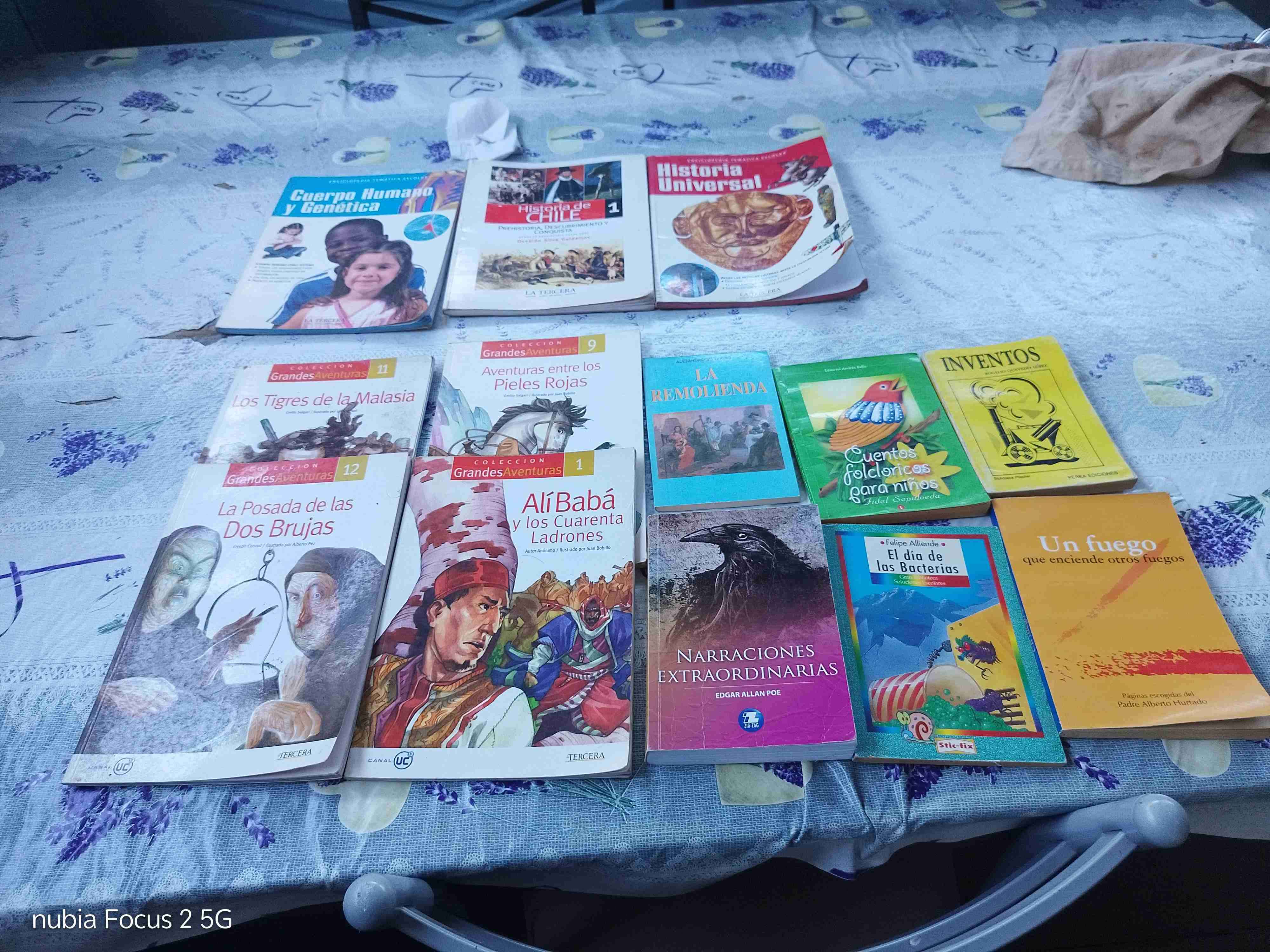 Lote de libros de estudio y literatura