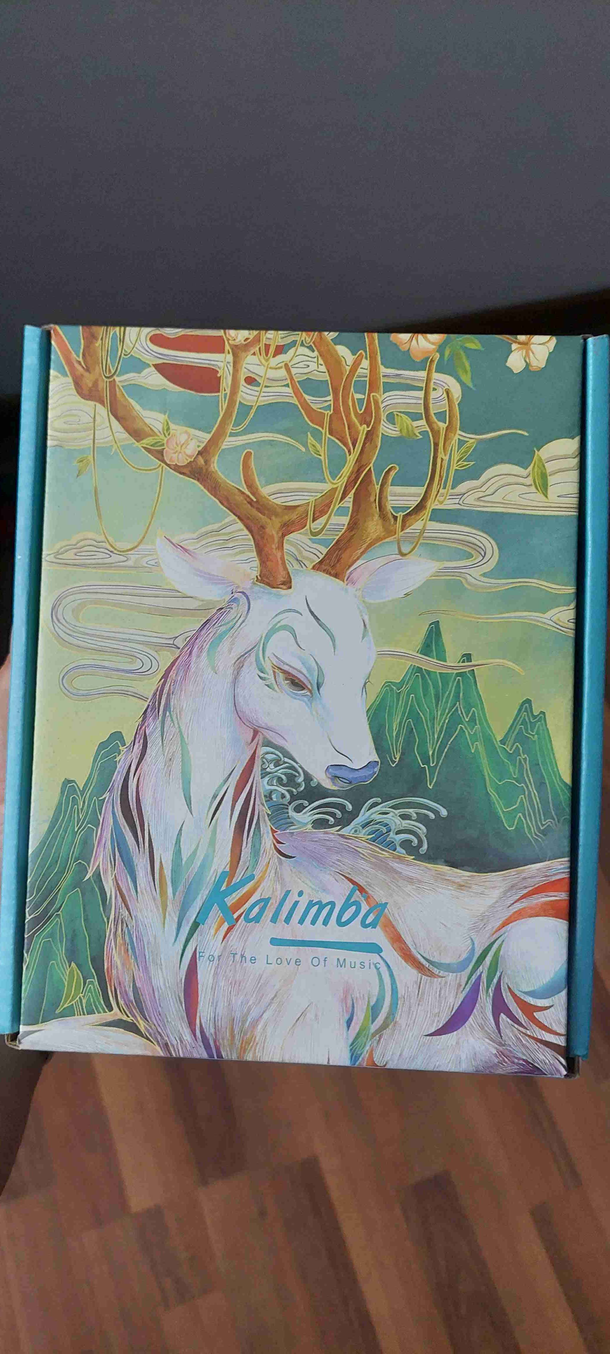 Kalimba de madera 17 teclas - 2