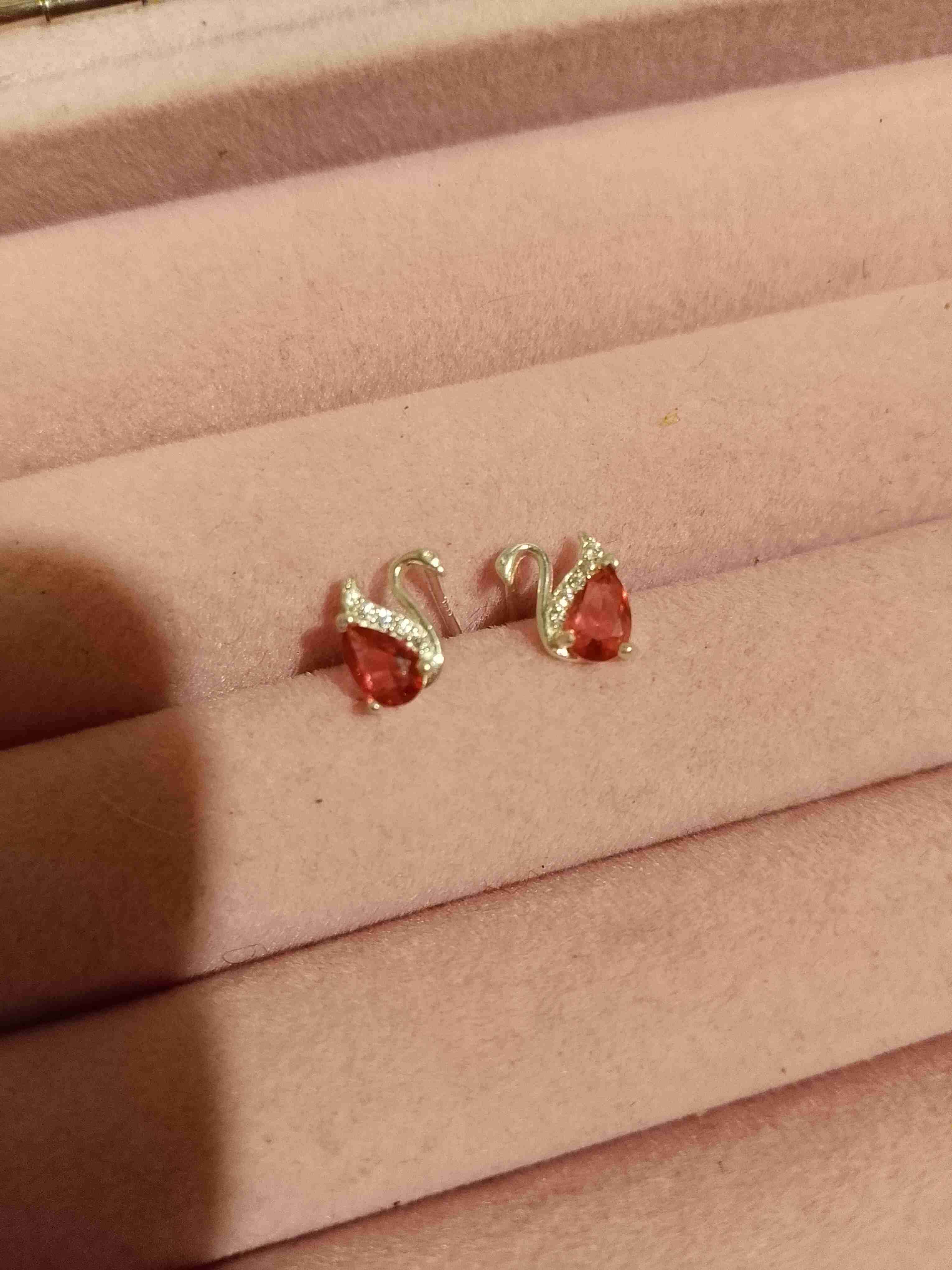 Aros cisnes de plata 925 - 2