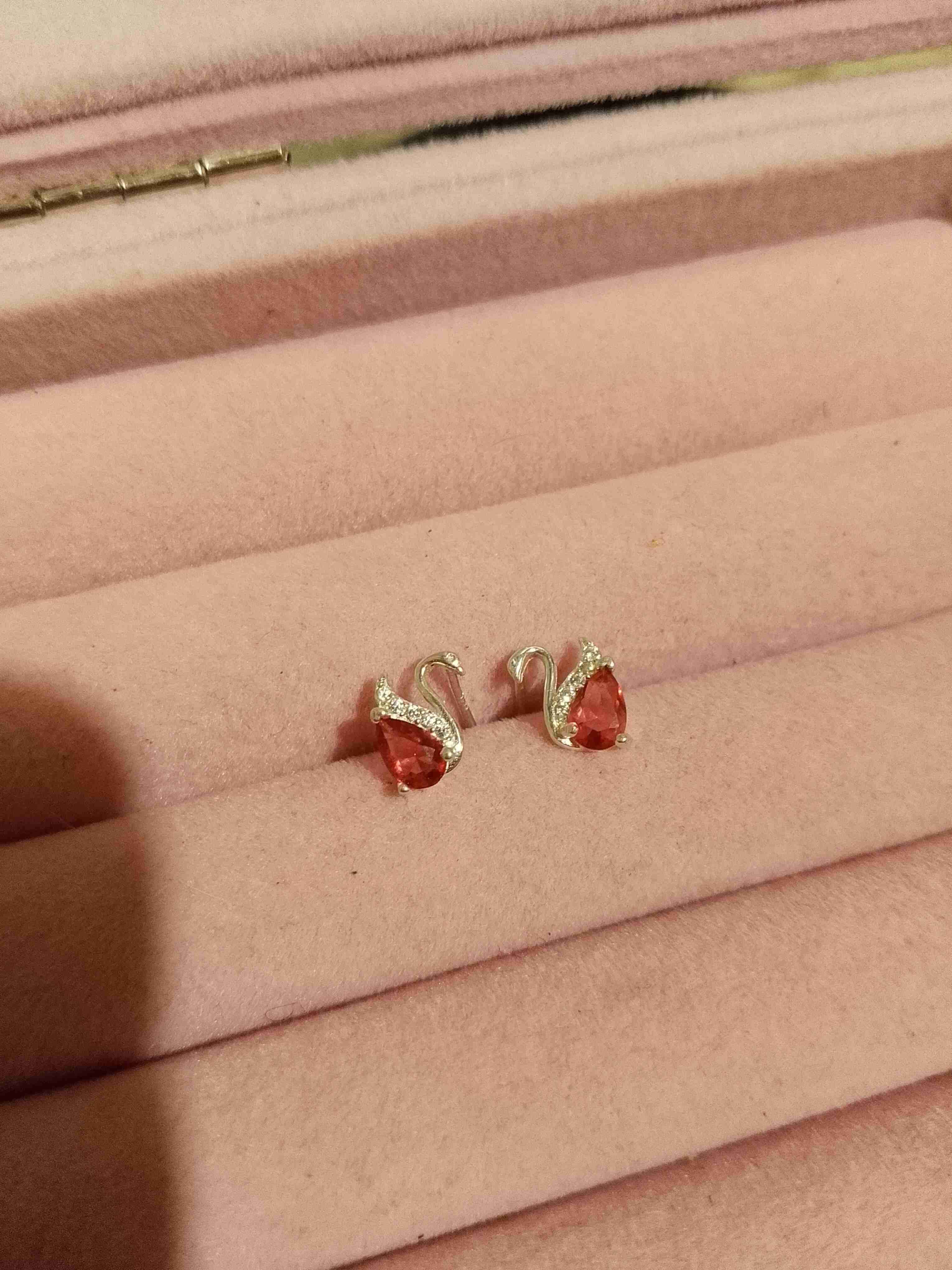 Aros cisnes de plata 925 - 3