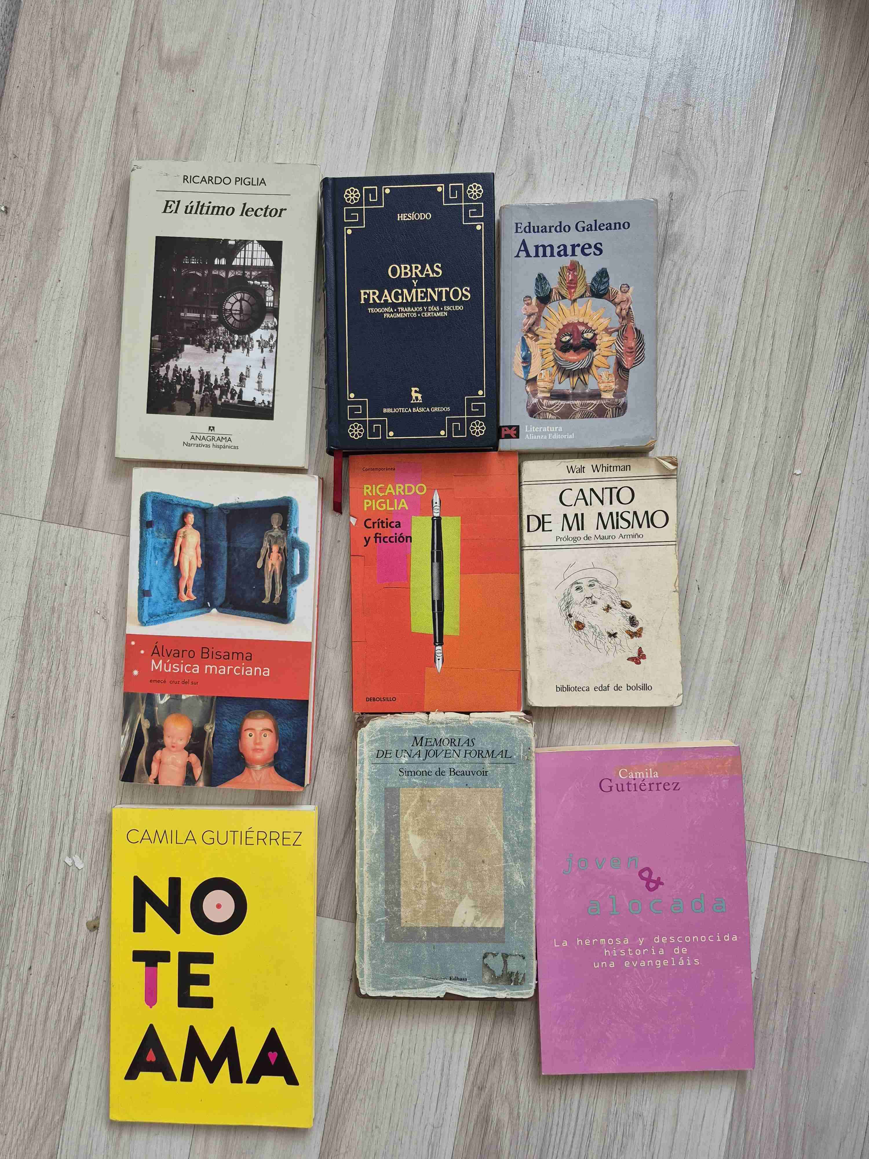 Lote de libros variados usados