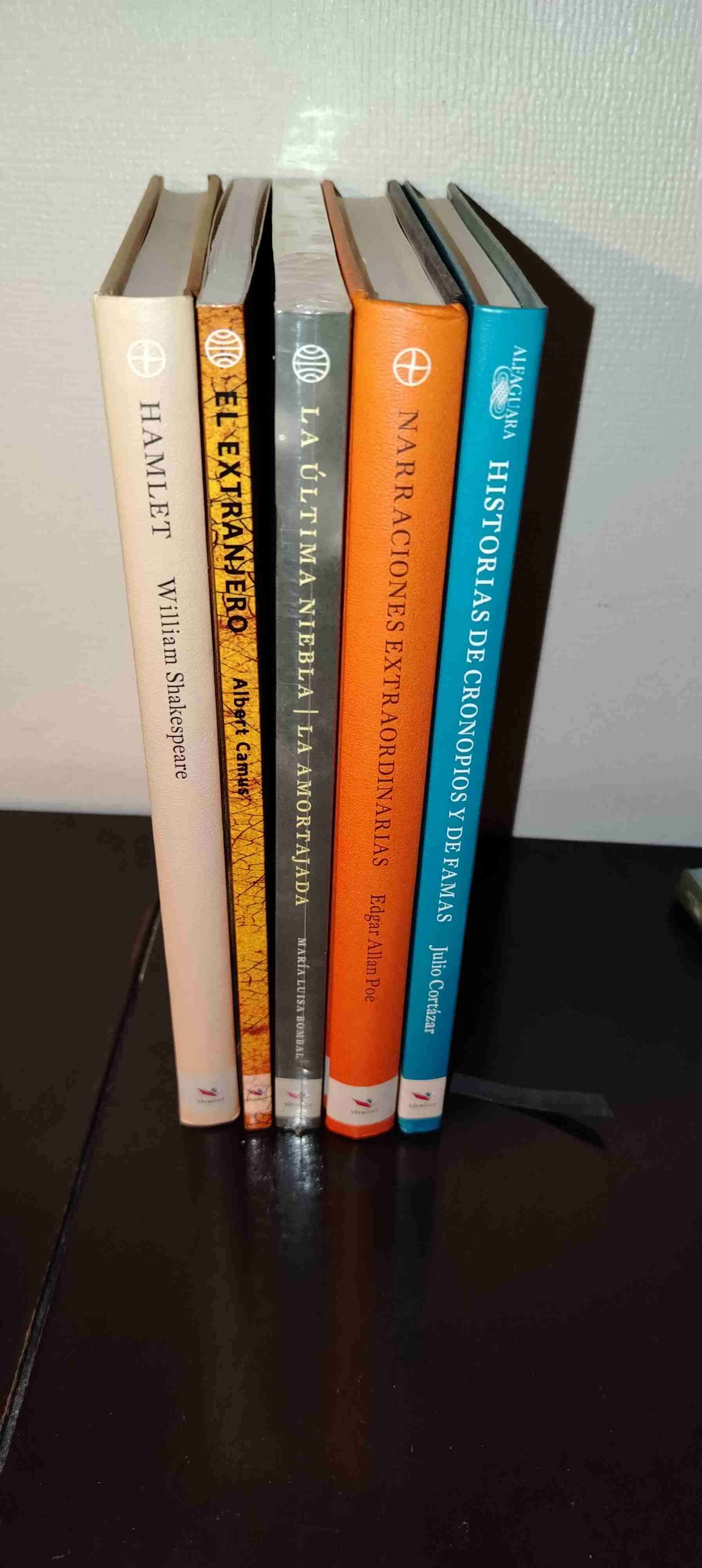 Colección de libros clásicos - miniatura 2