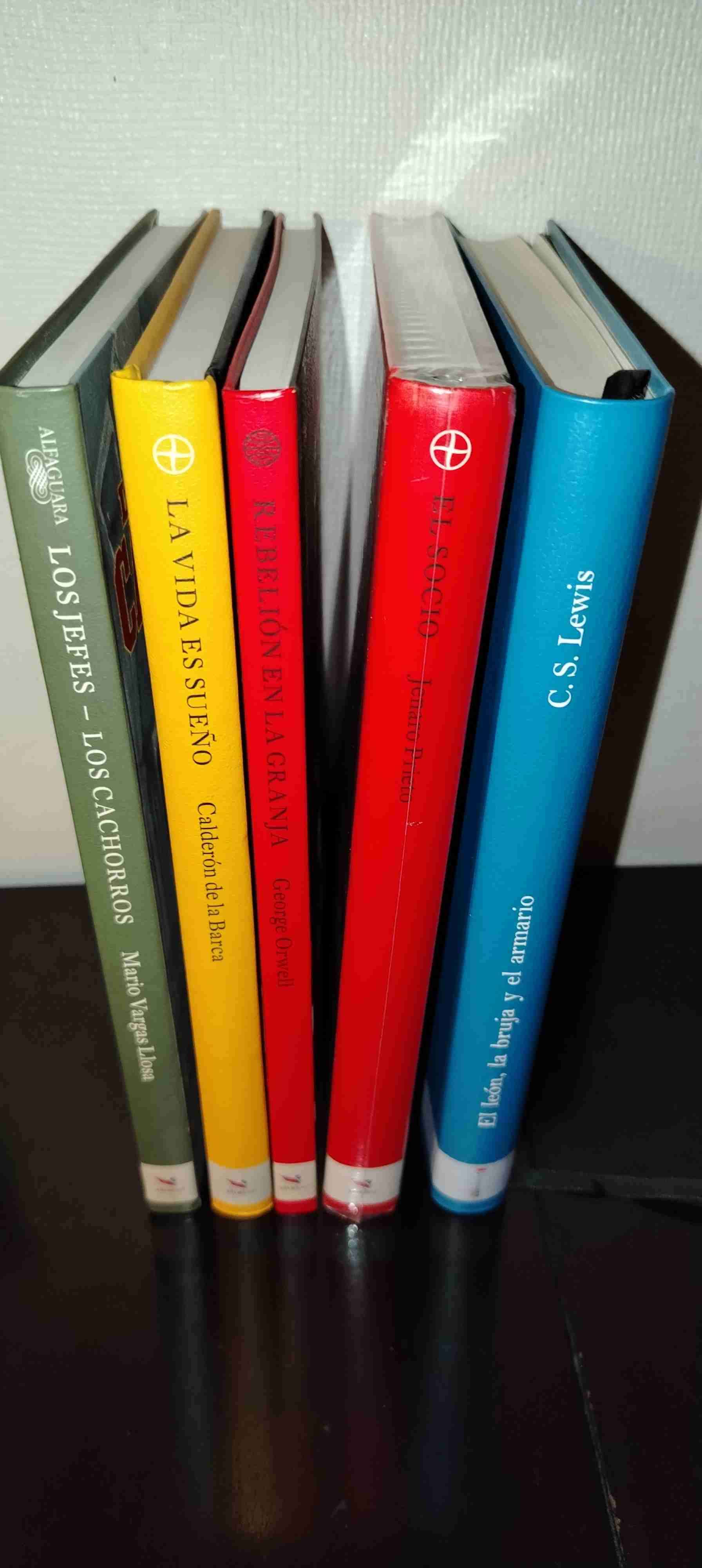 Colección de libros clásicos - miniatura 4