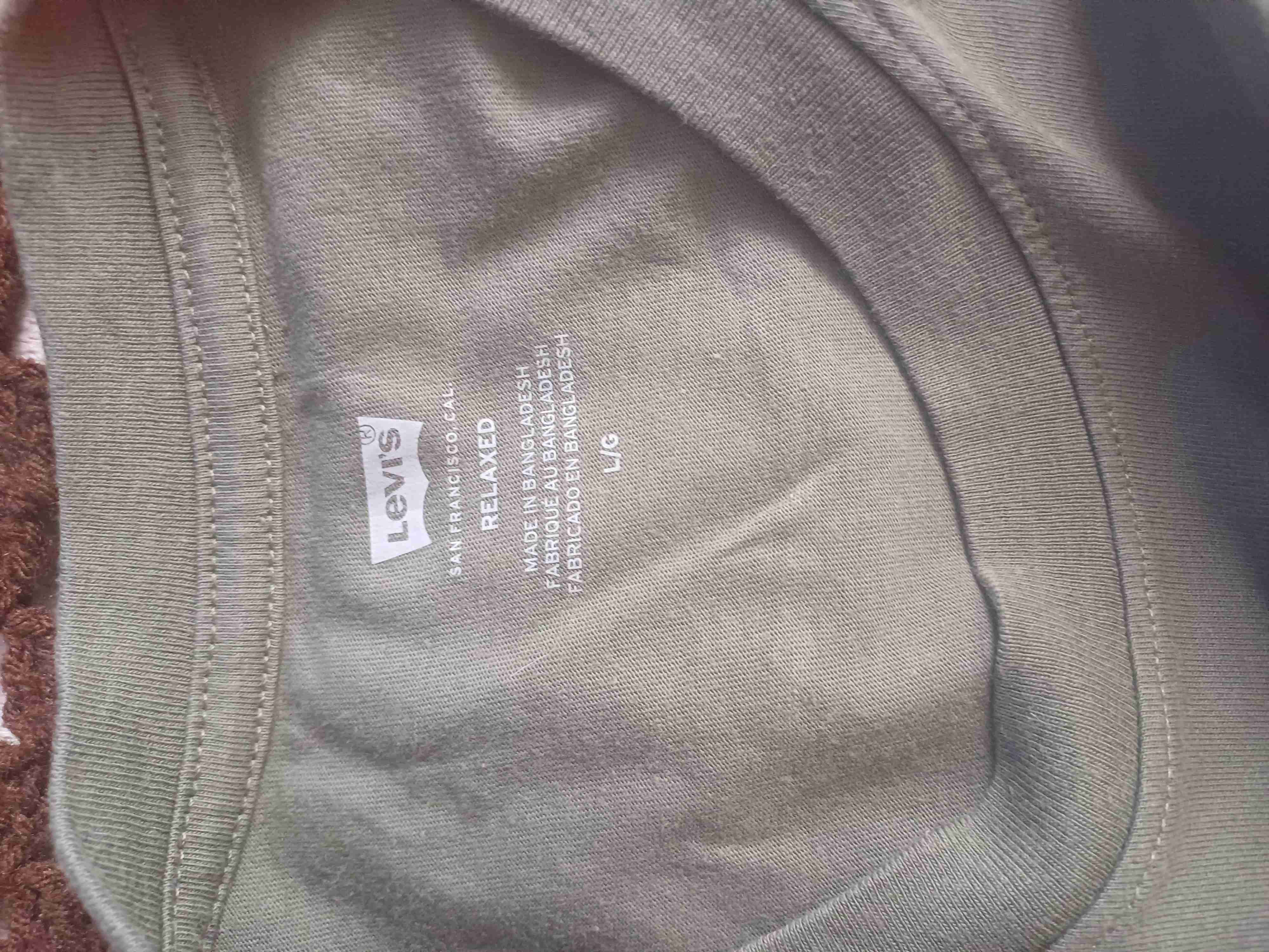 Polera verde Levi's "Wild Alaska" - miniatura 2