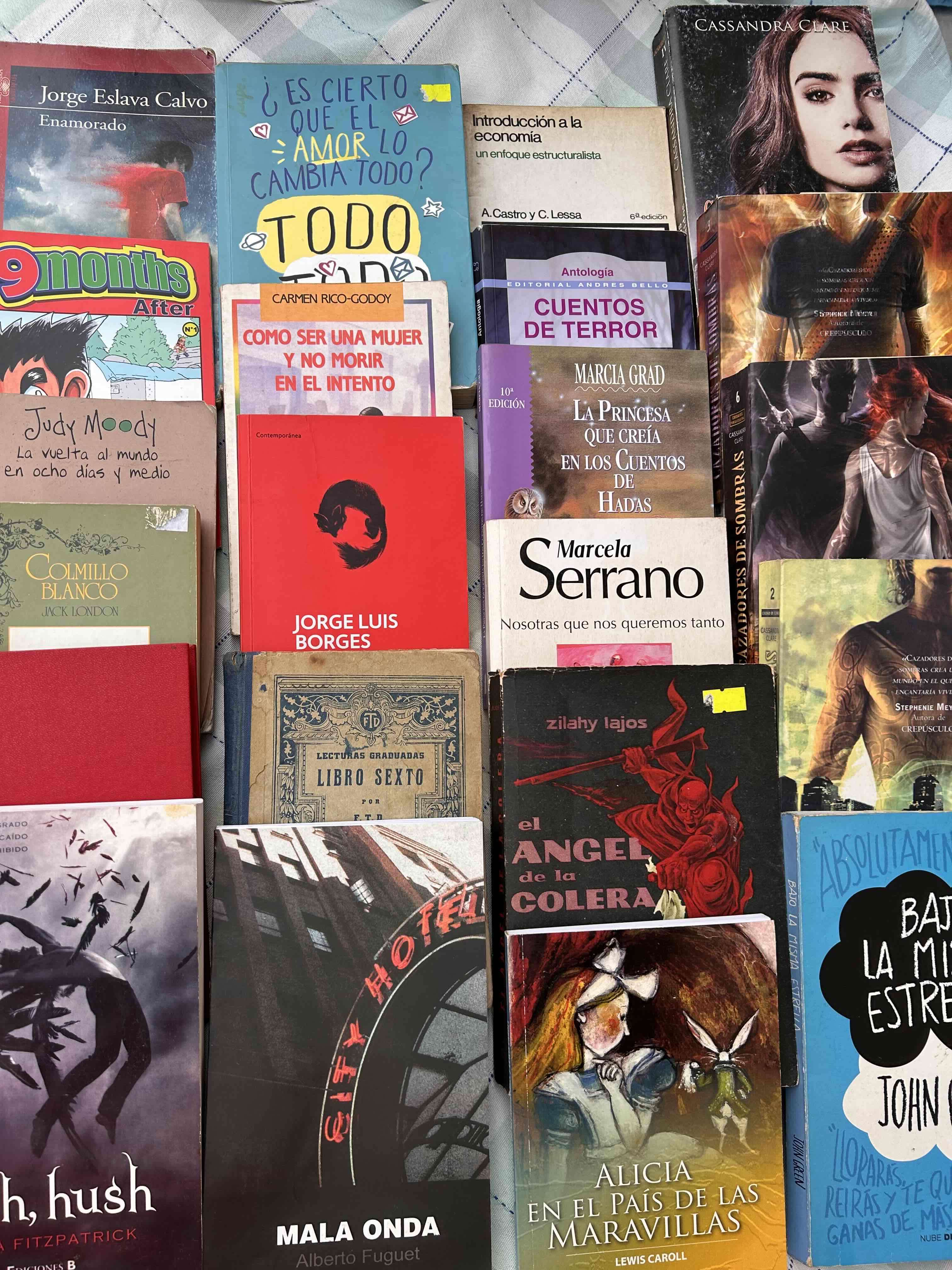 Lote de 35 libros variados - miniatura 1
