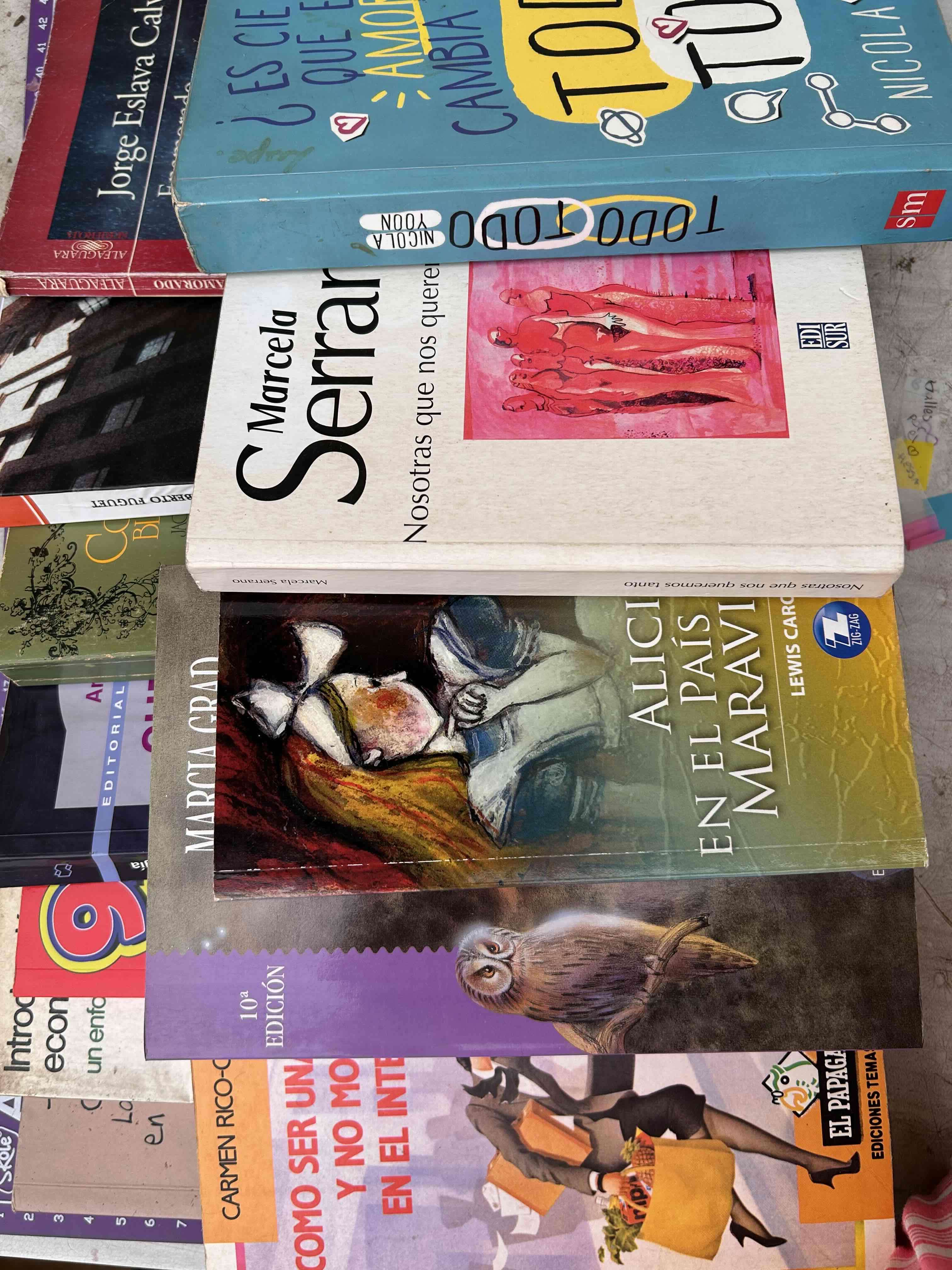 Lote de 35 libros variados - miniatura 3