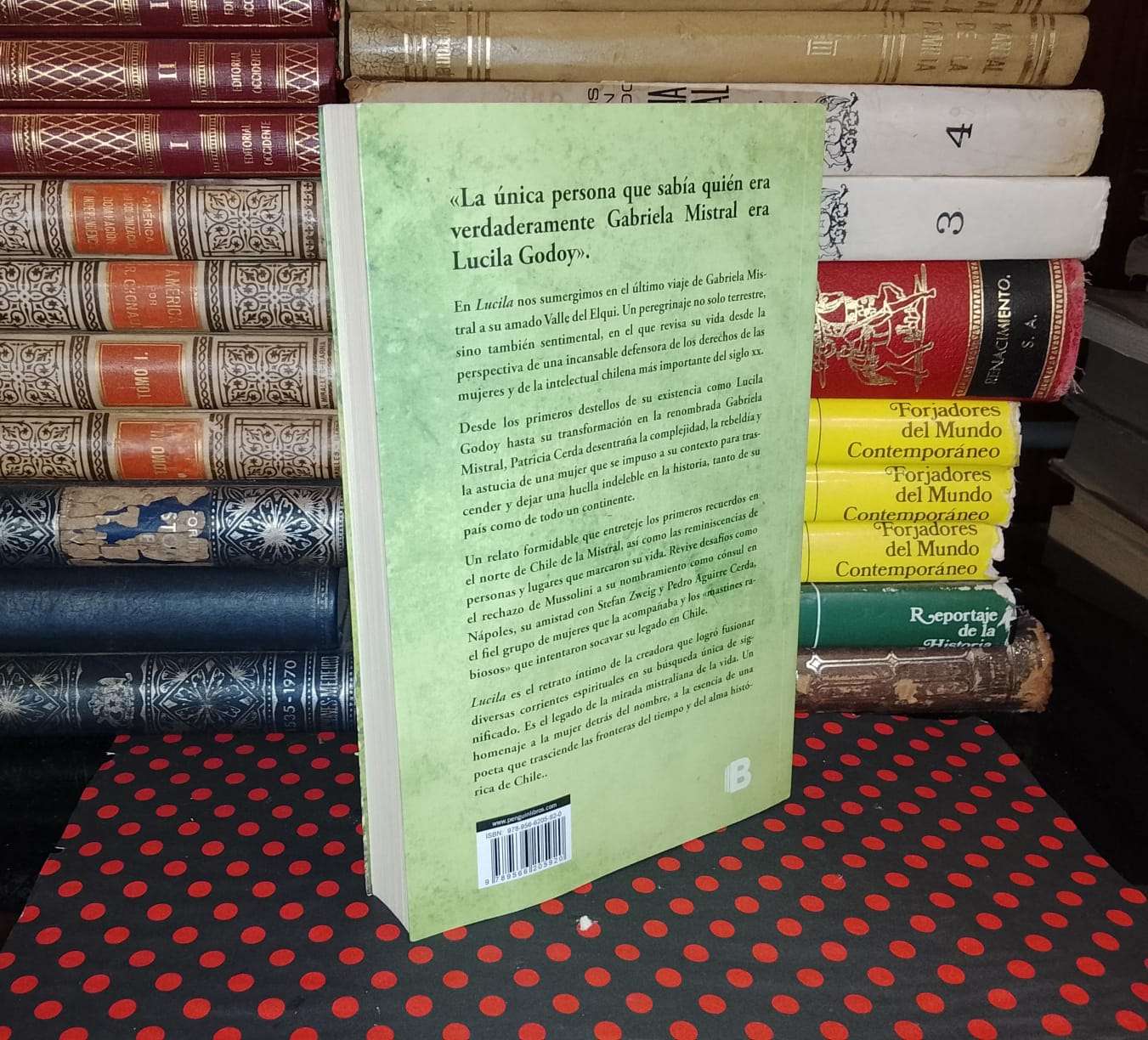 Lucila - Patricia Cerda - 2