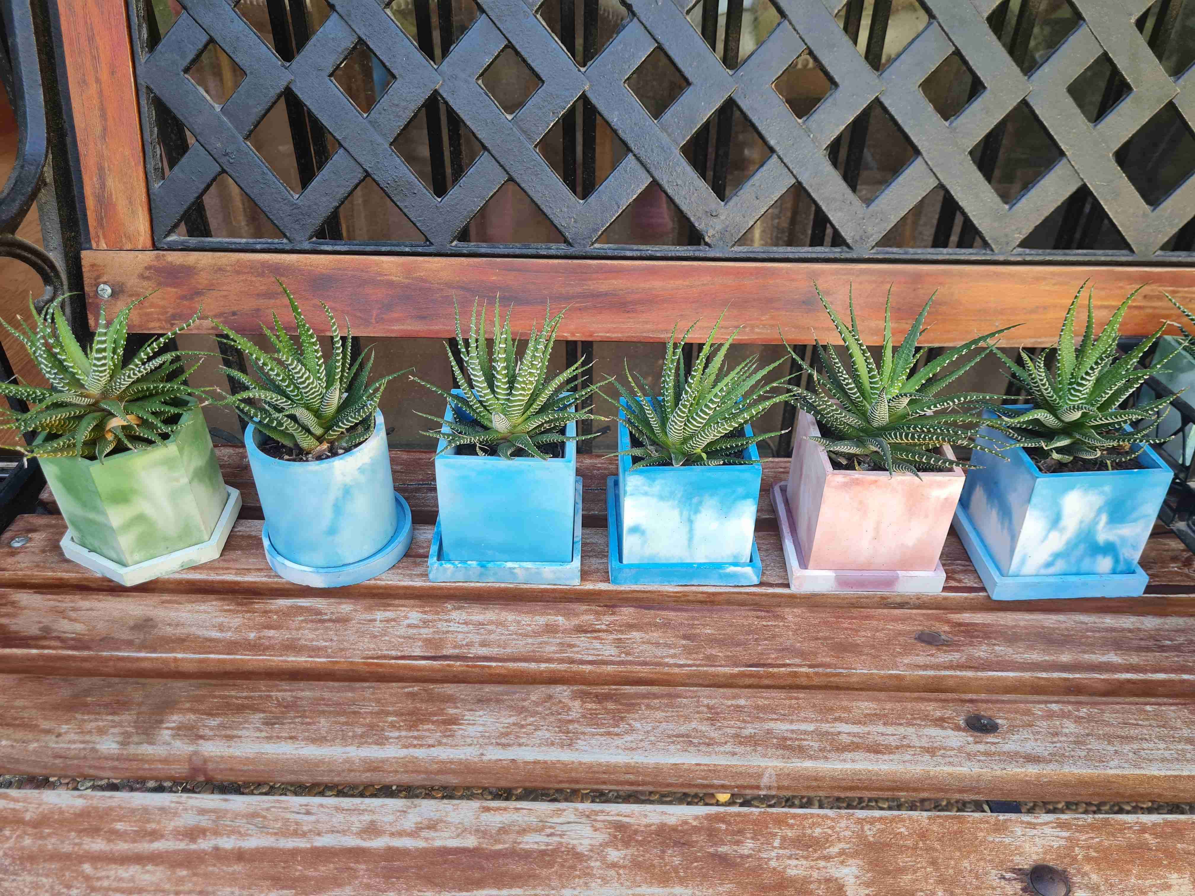 Maceteros de concreto con suculentas - miniatura 3