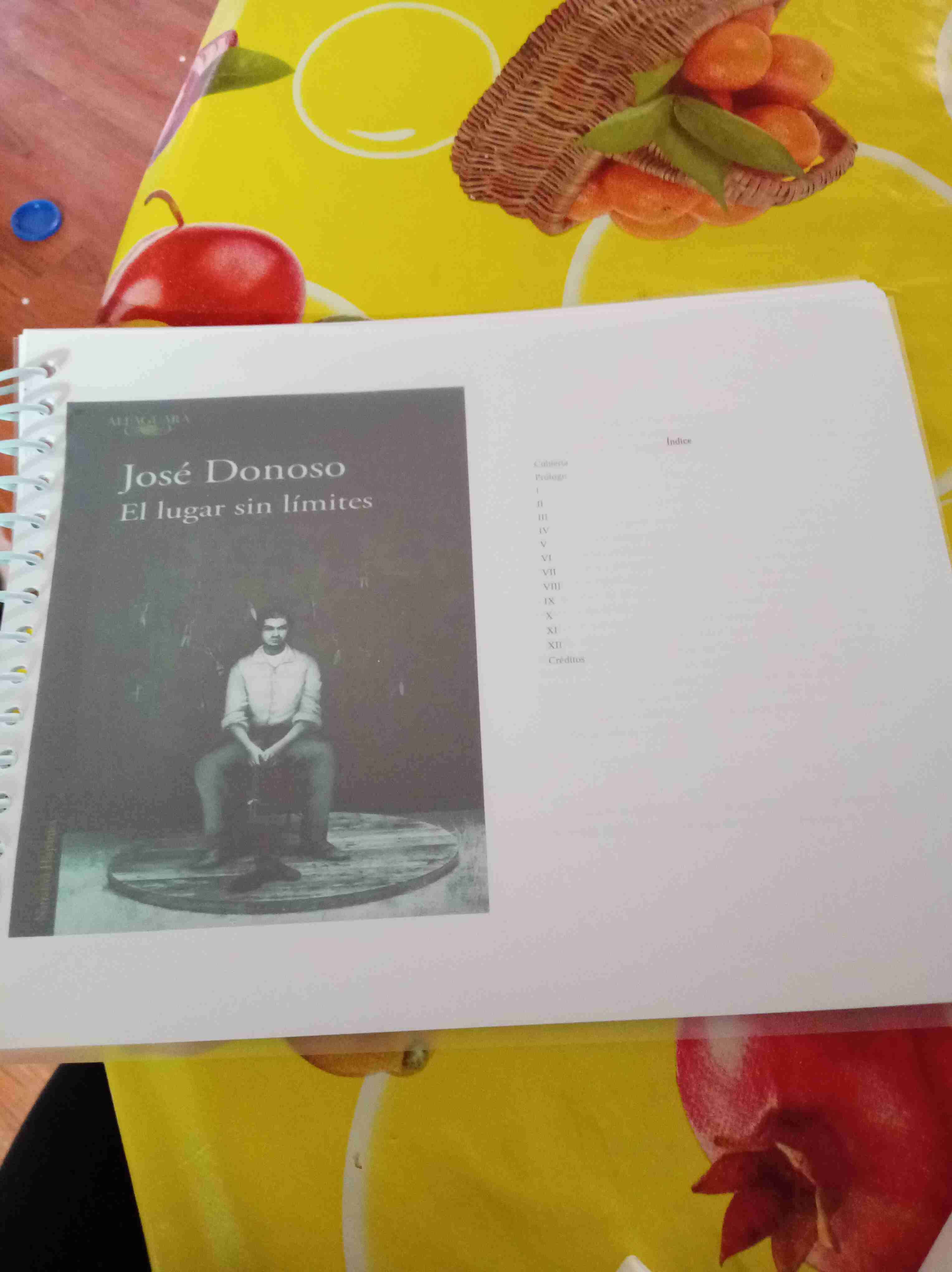 Libro 'El lugar sin límites'