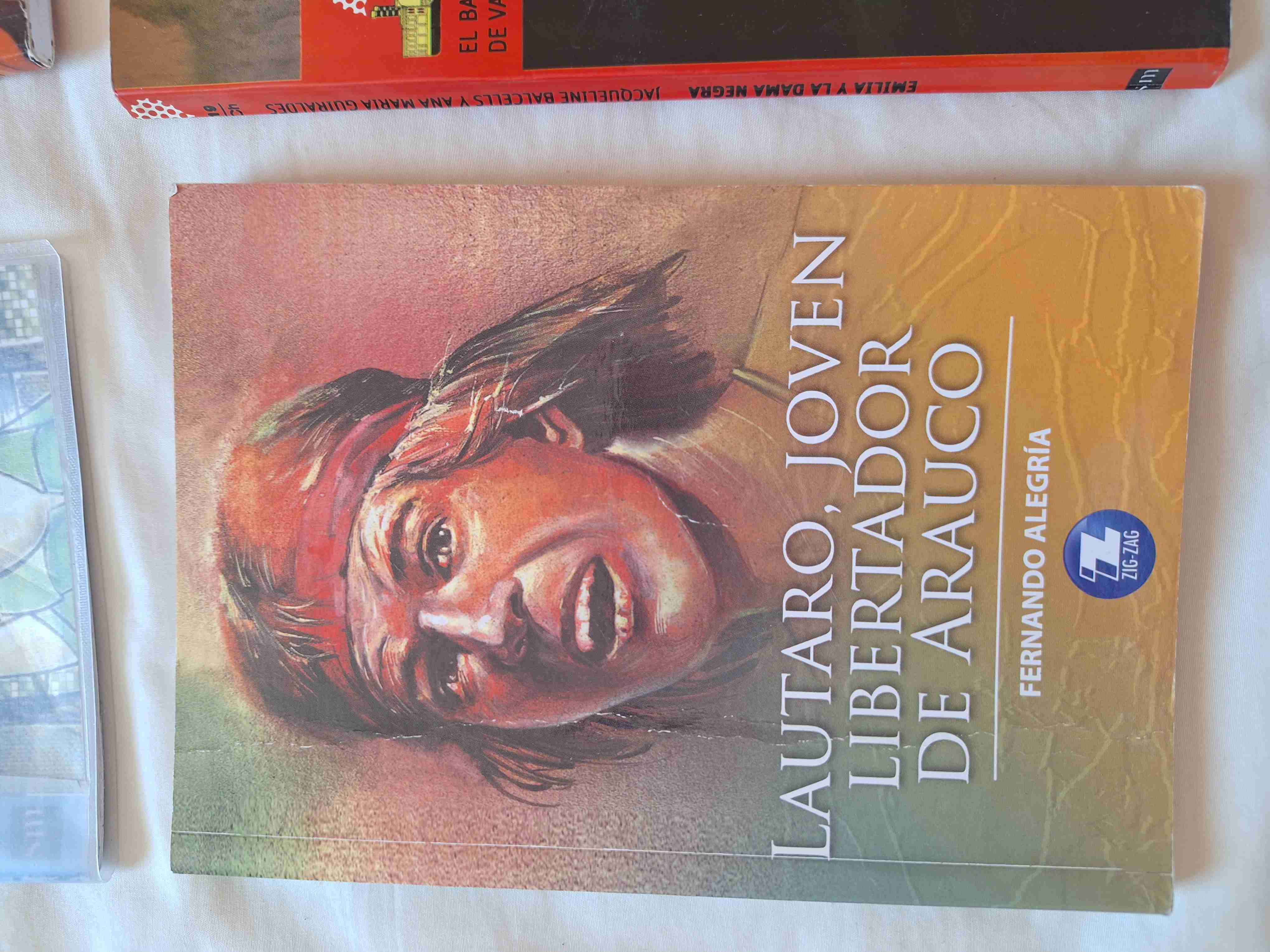 Libros para niñas y niños - miniatura 5