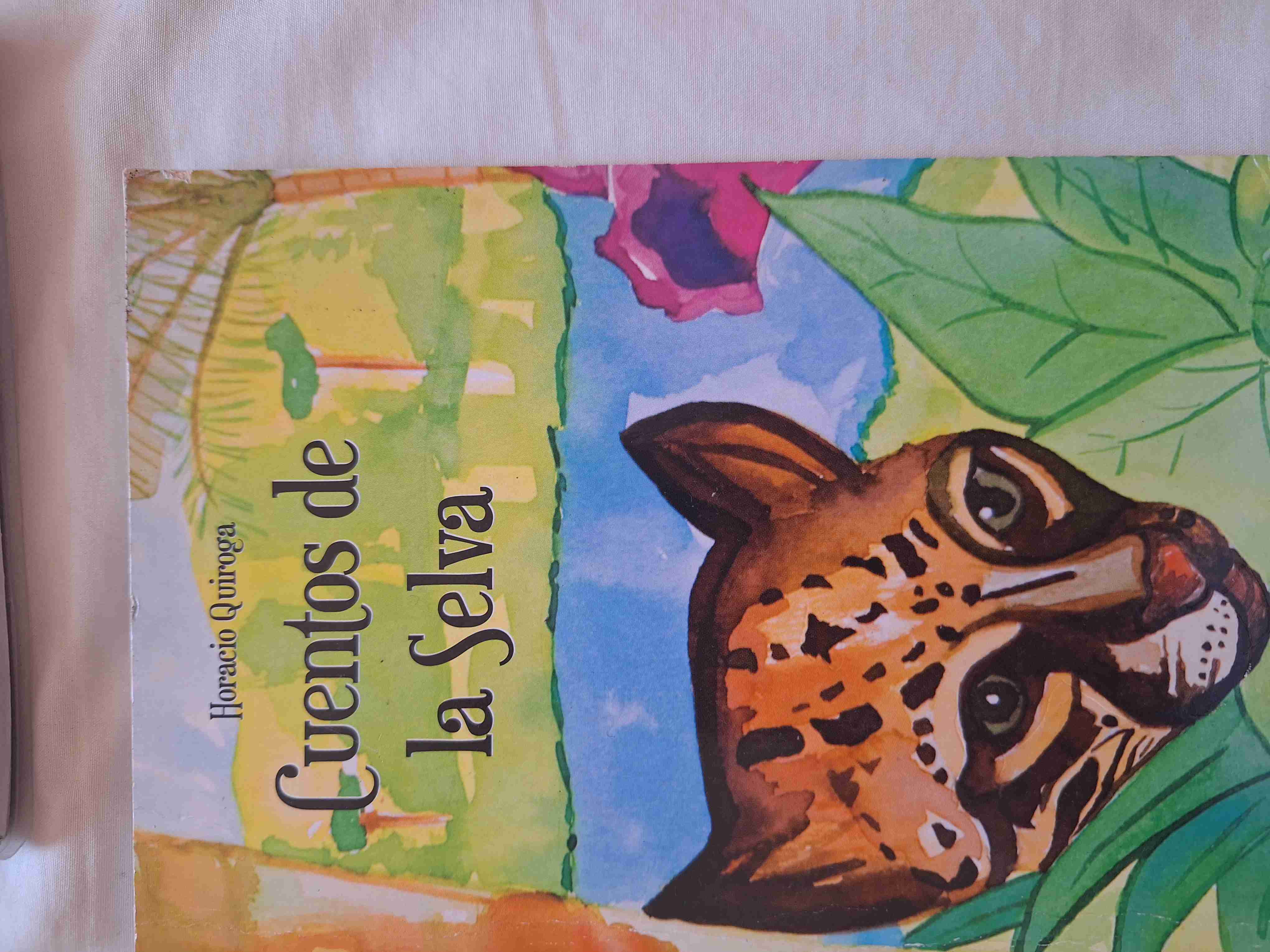 Libros niñas y niños - miniatura 4