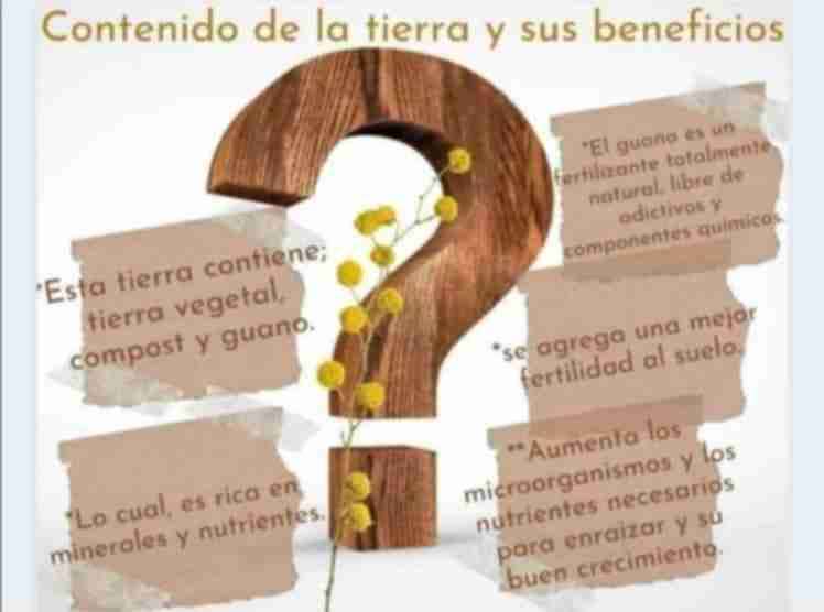 Sacos de tierra fertilizada - miniatura 2