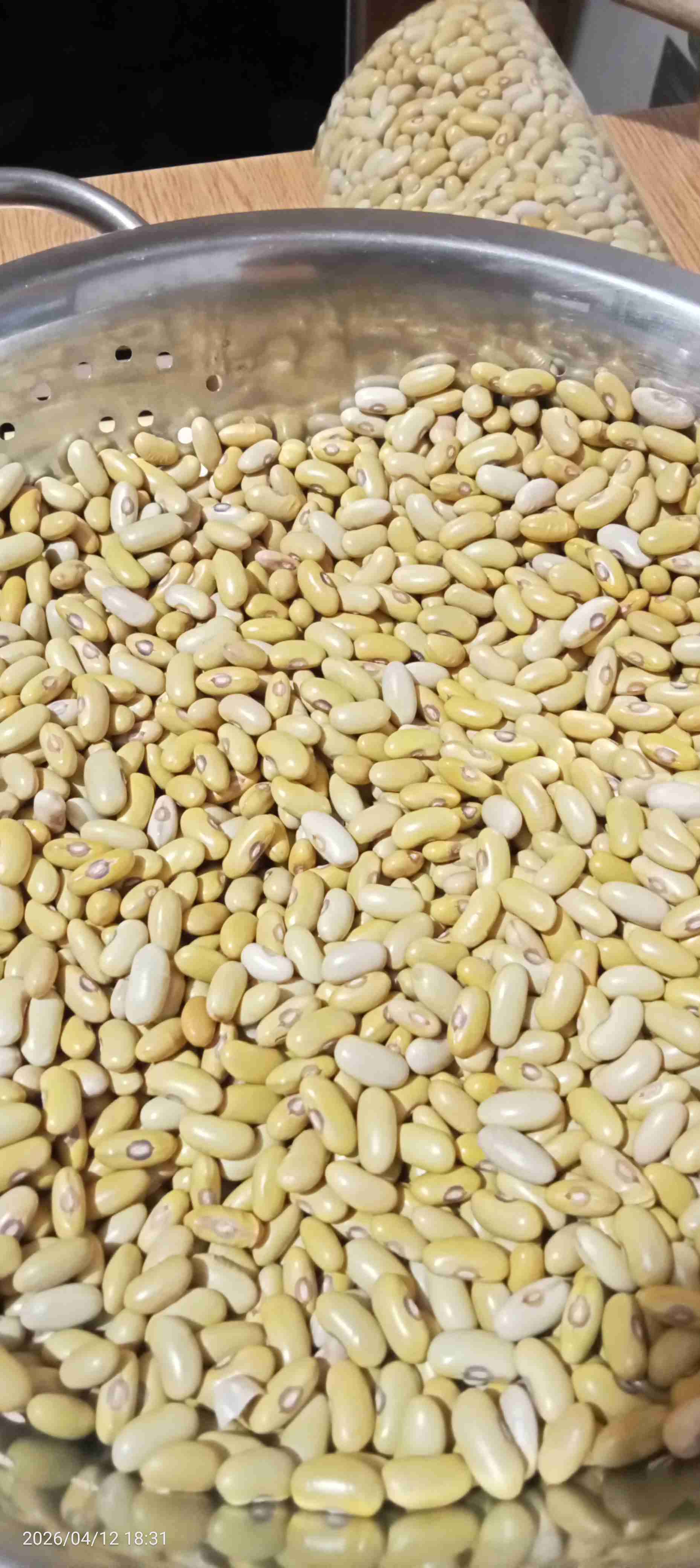 Porotos secos frescos cosecha este año - miniatura 1