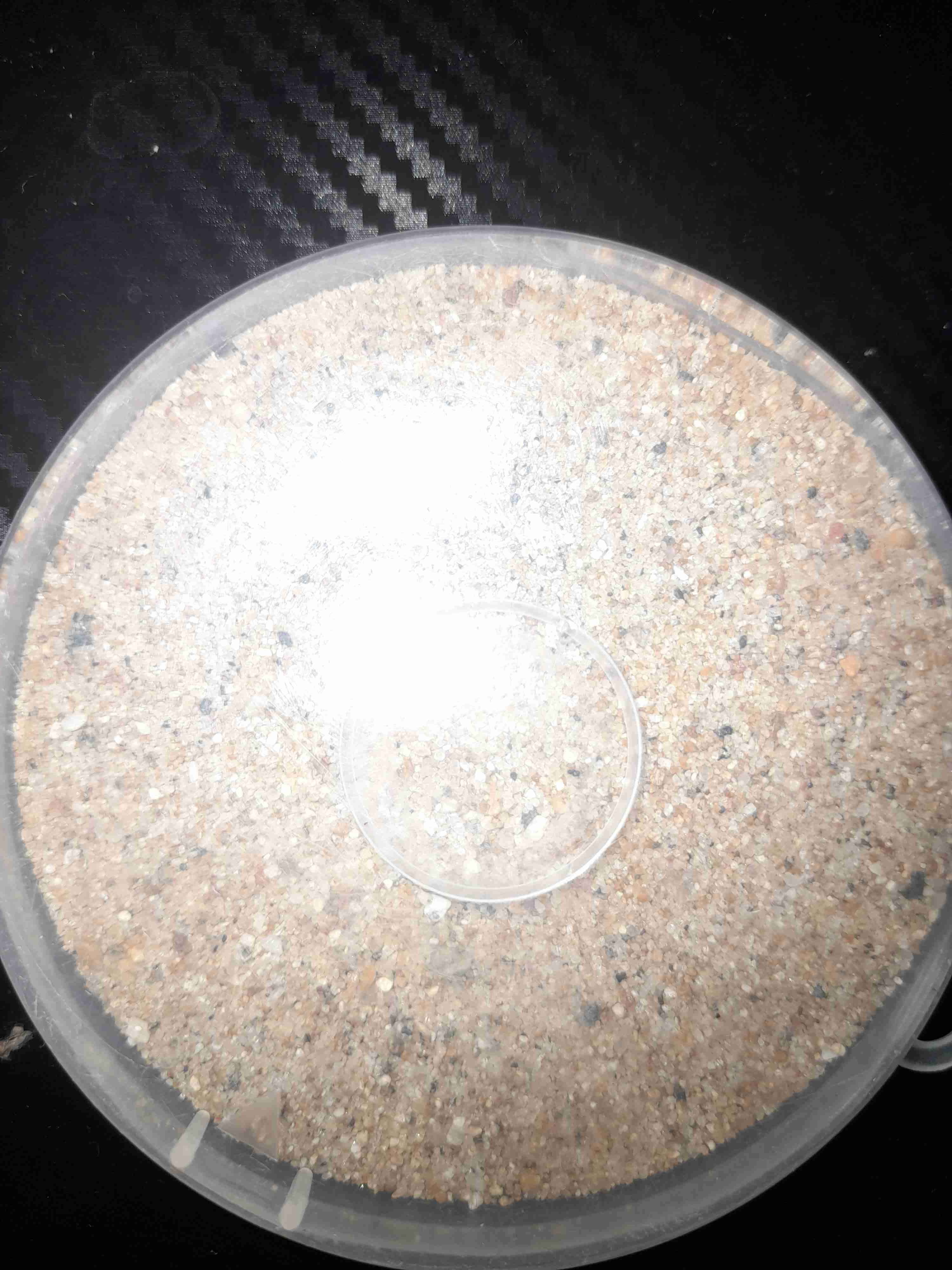 Contenedor de arena decorativa 🏺🌟🏖️