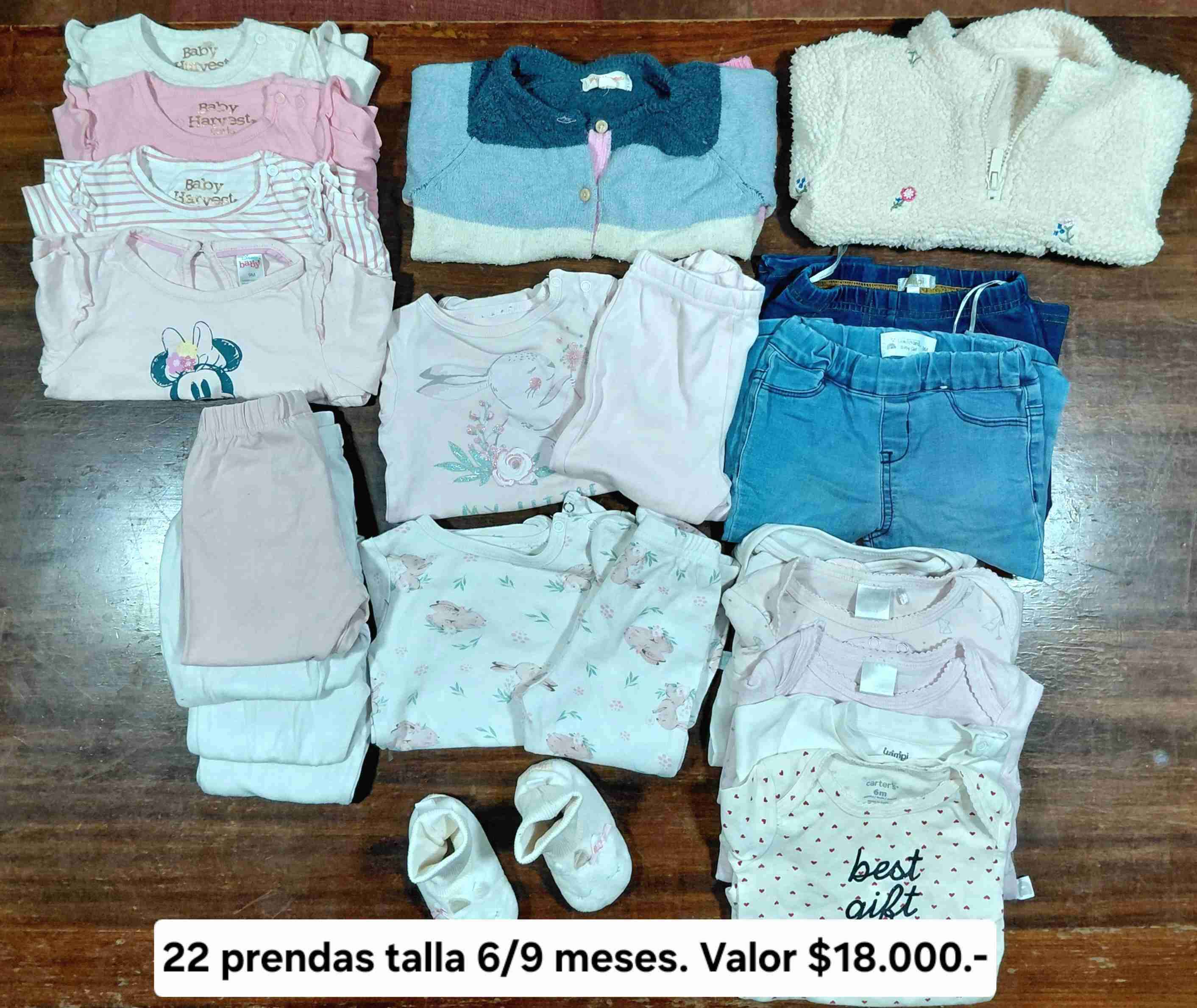 Ropa bebé 6/9 meses 22 piezas