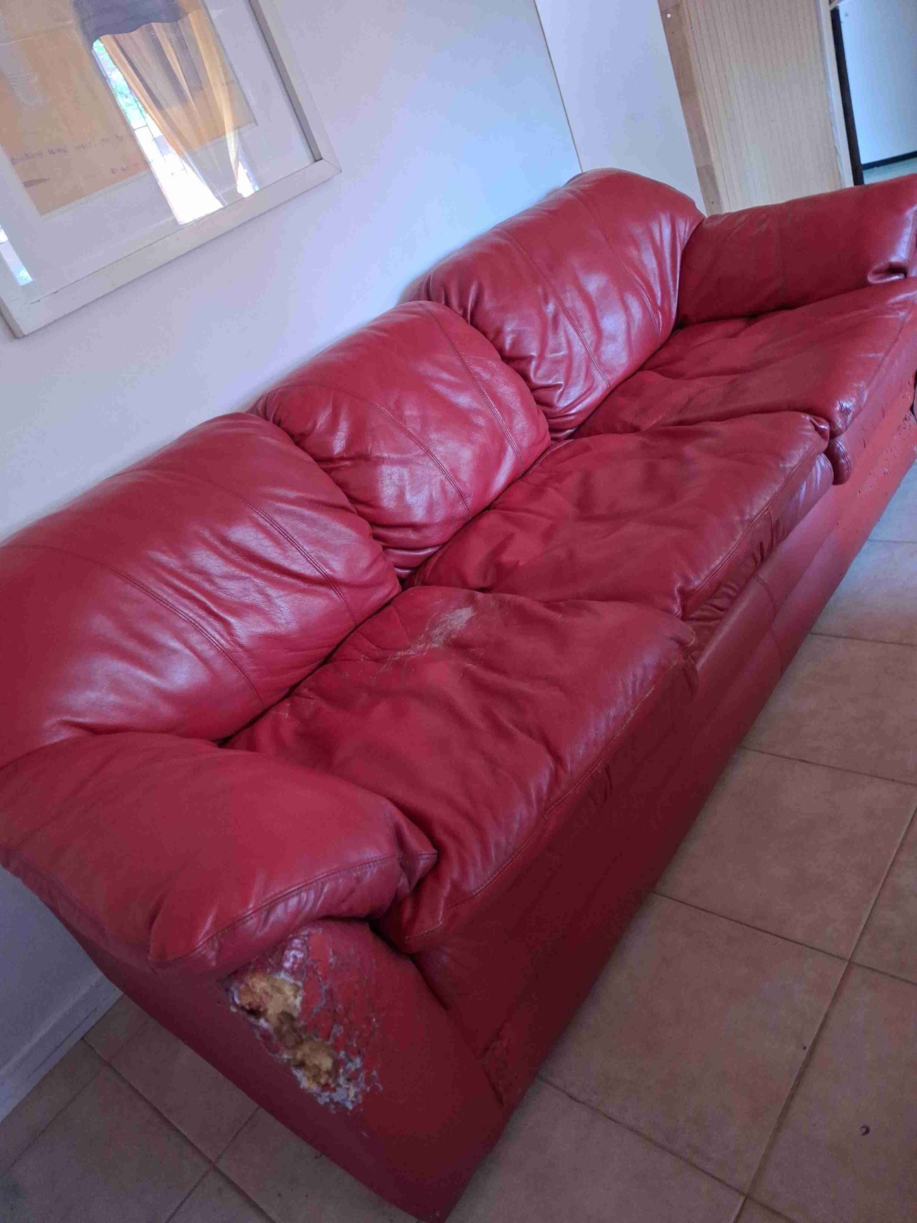 Sillón de cuero rojo antiguo – ideal para restau - miniatura 2
