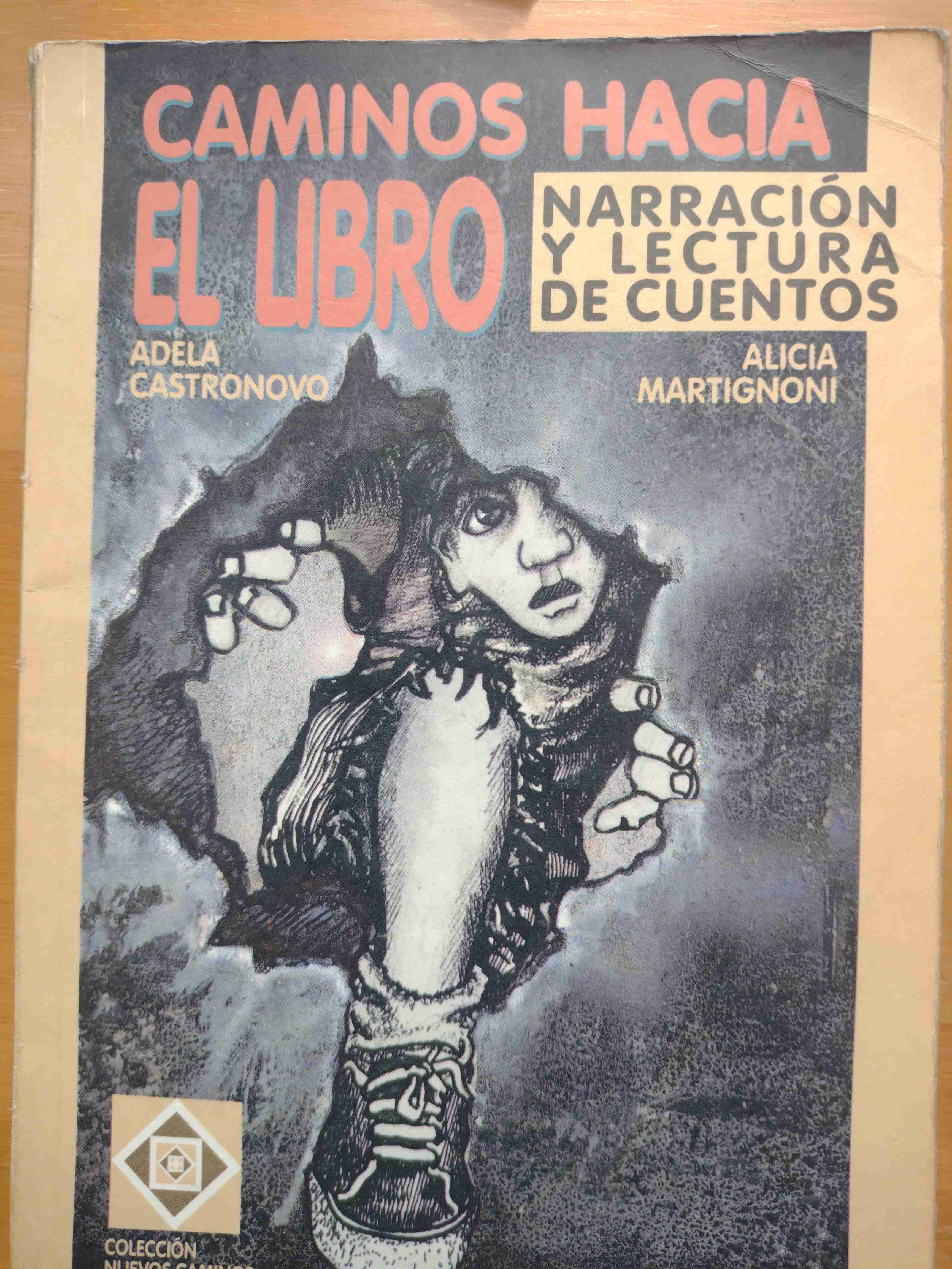Libro Caminos hacia el libro
