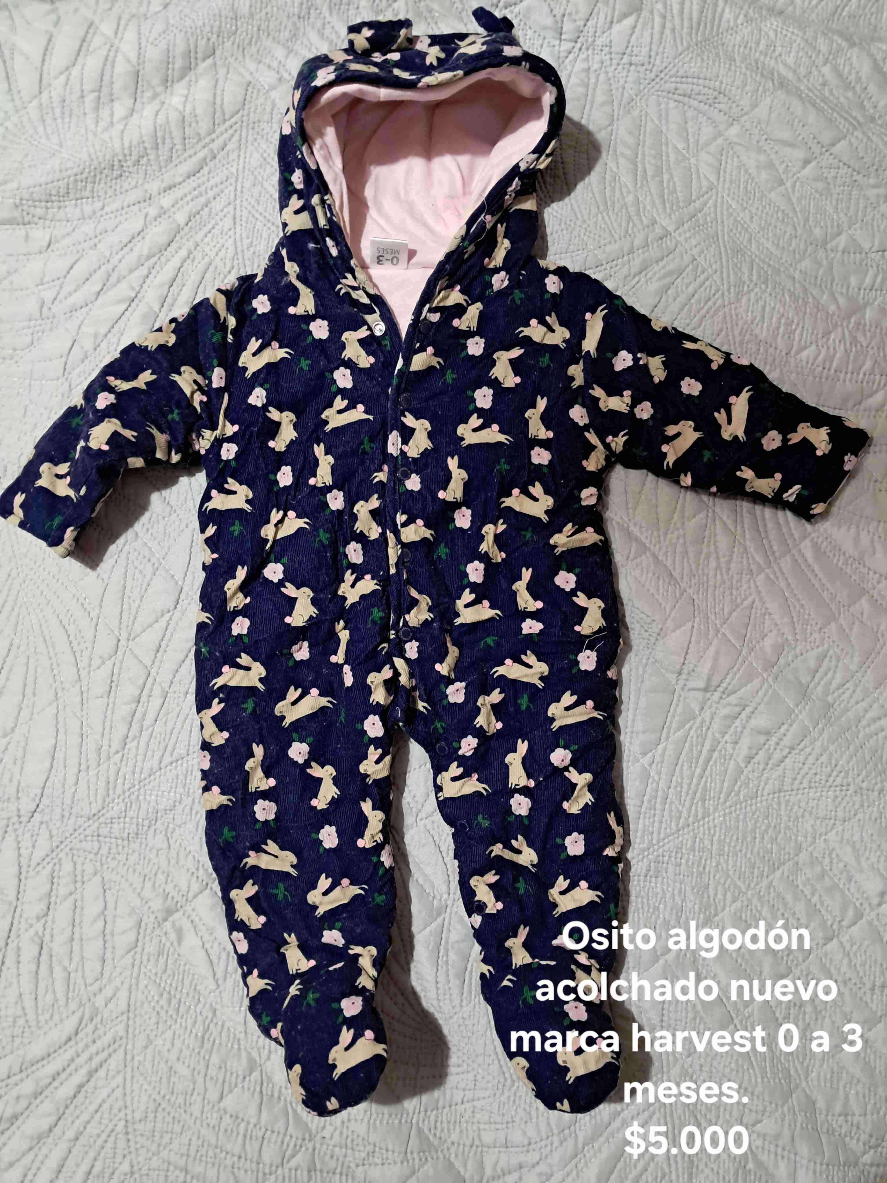 Osito algodón acolchado nuevo