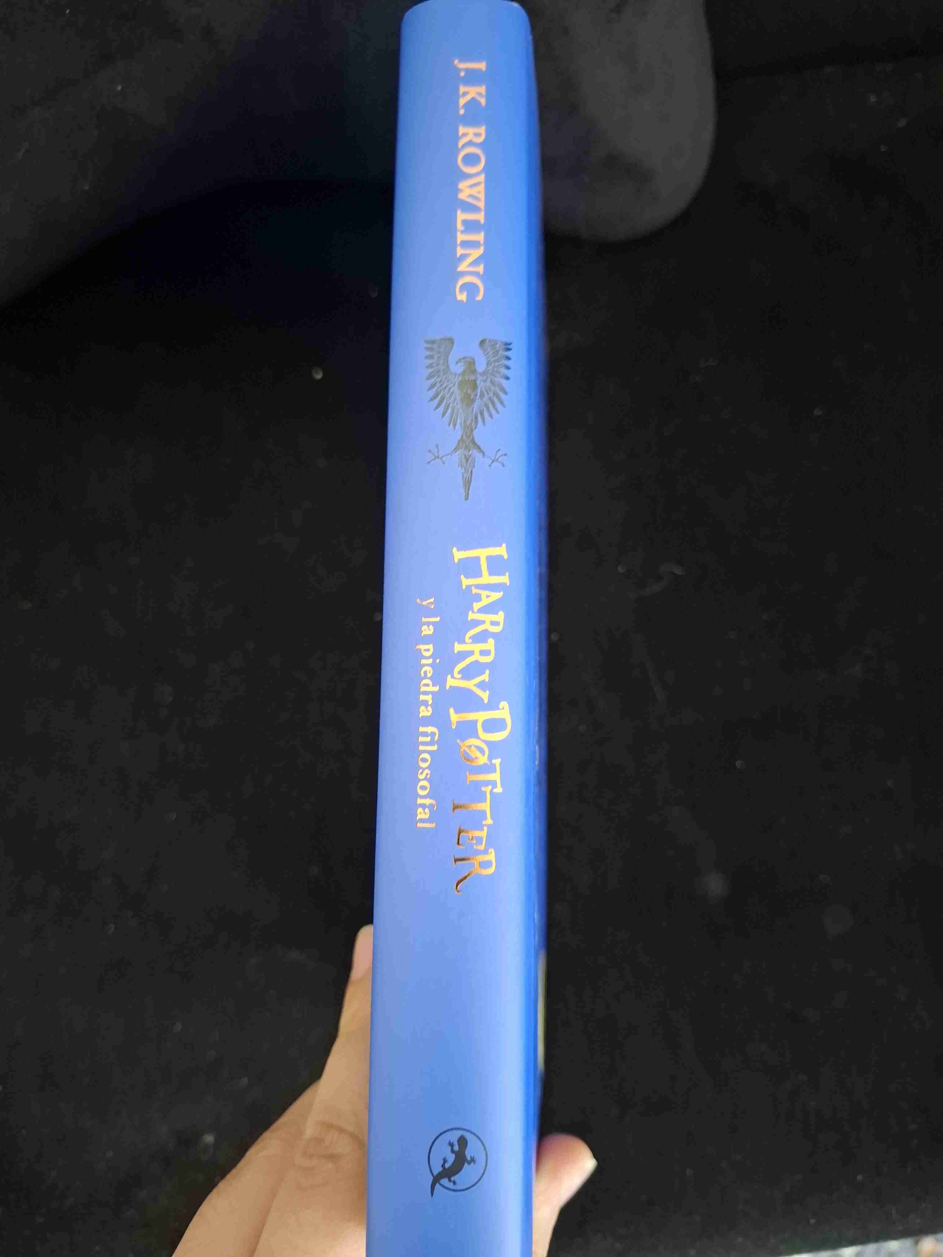 Harry Potter y la piedra Filosofal Ravenclaw - miniatura 2