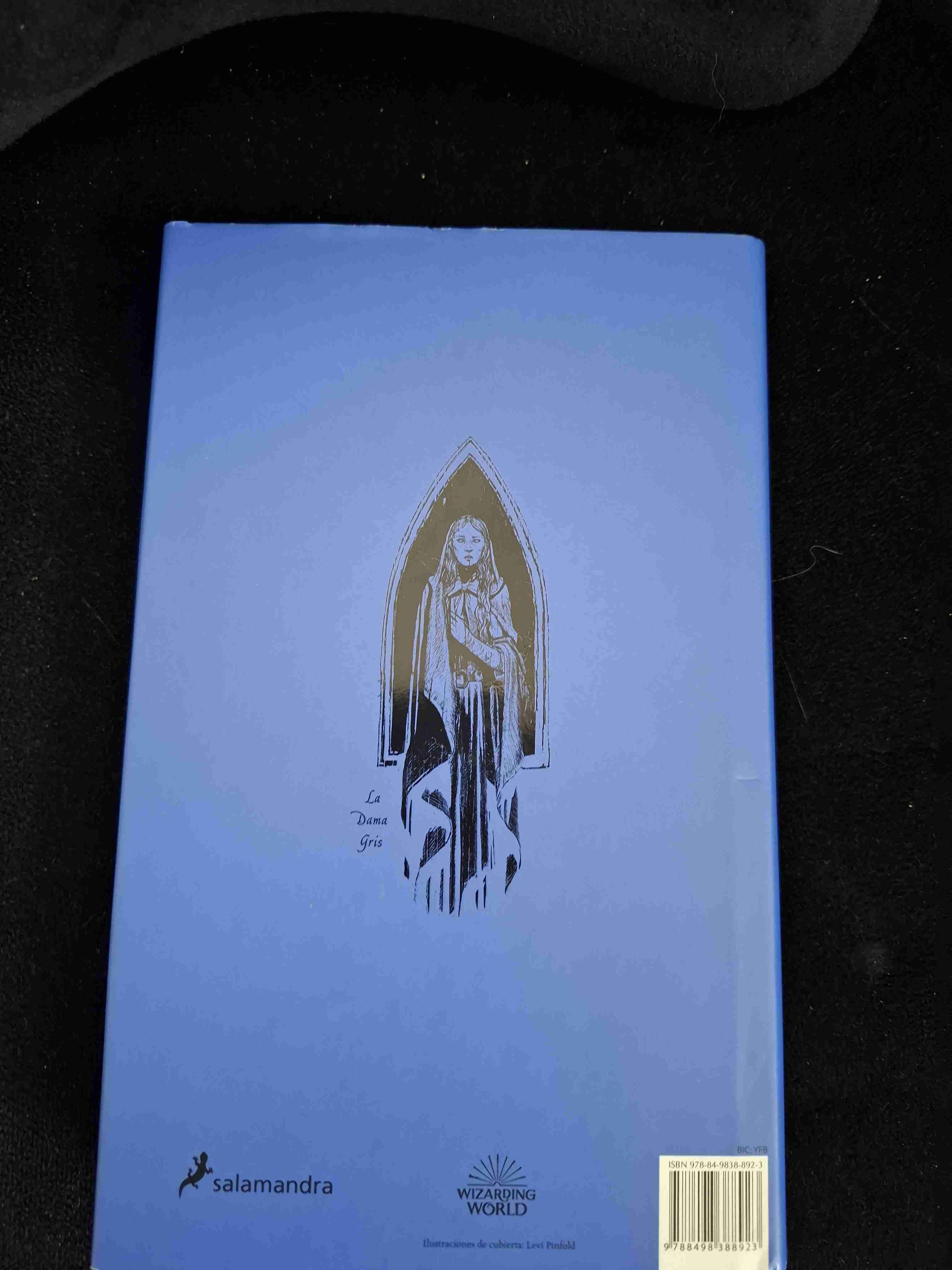 Harry Potter y la piedra Filosofal Ravenclaw - miniatura 3