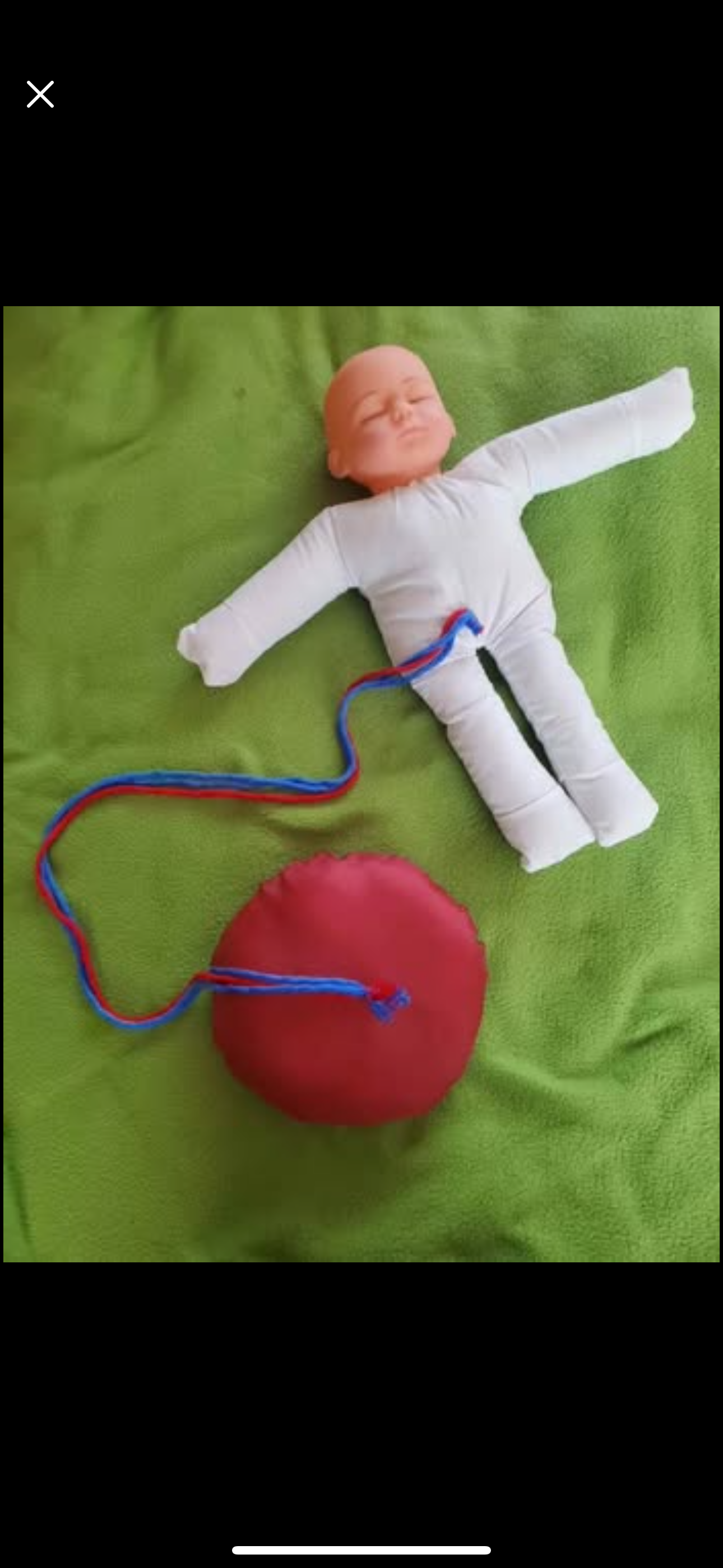 Muñeco bebe con placenta - miniatura 1