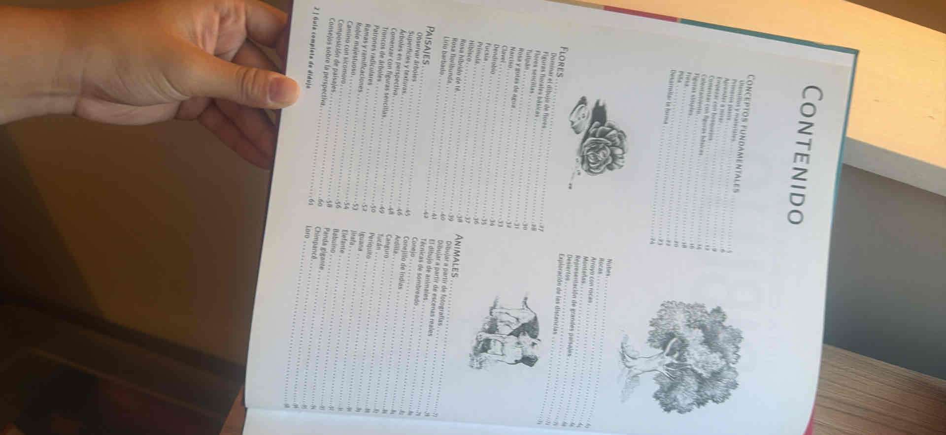 Guía Completa de Dibujo - miniatura 6