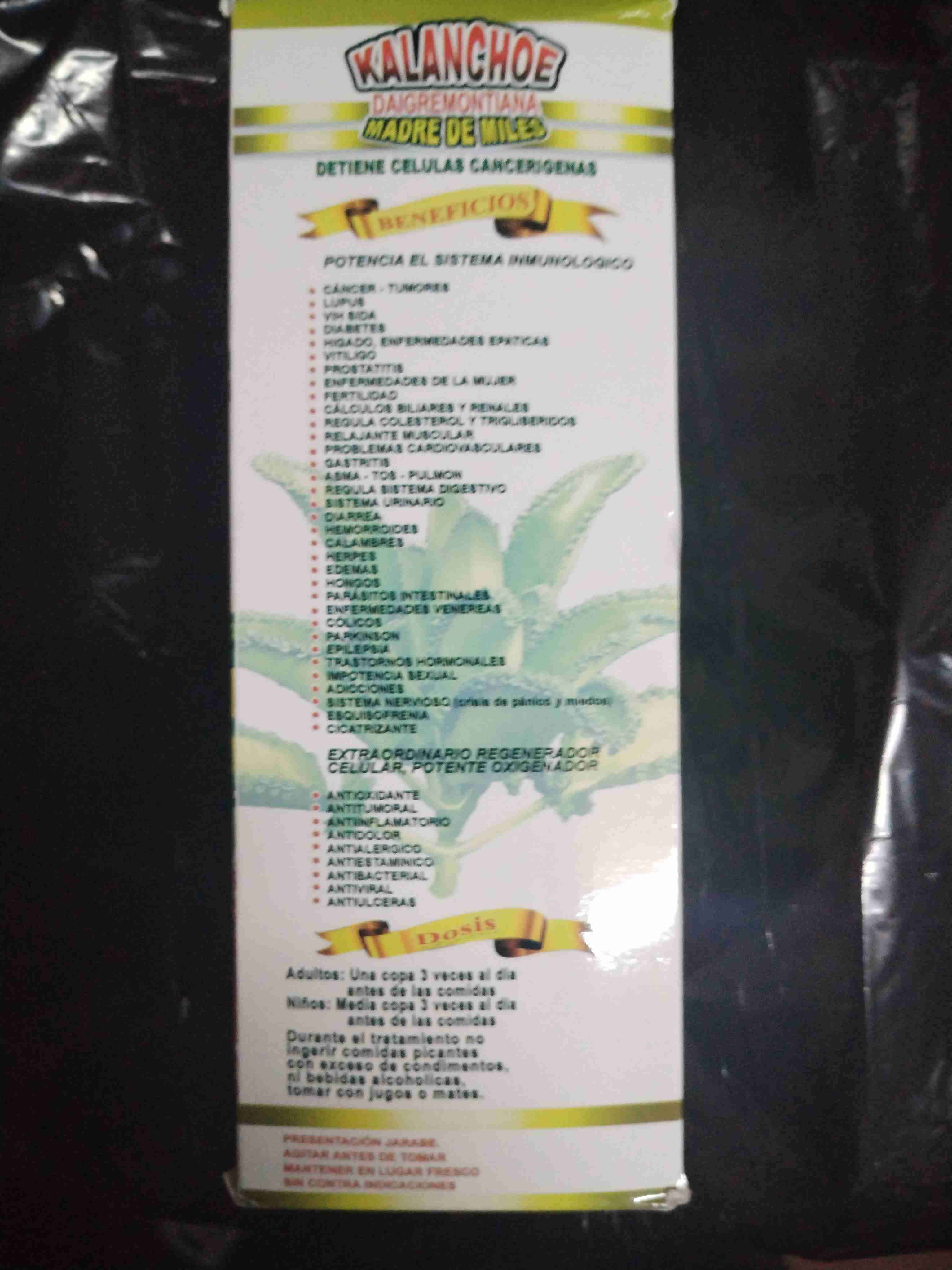 Extracto natural de Kalanchoe Jarabe 500ml - miniatura 3