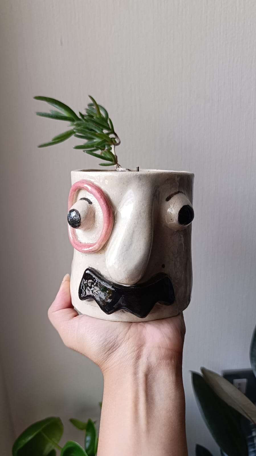 Macetero cerámico con suculenta - miniatura 2