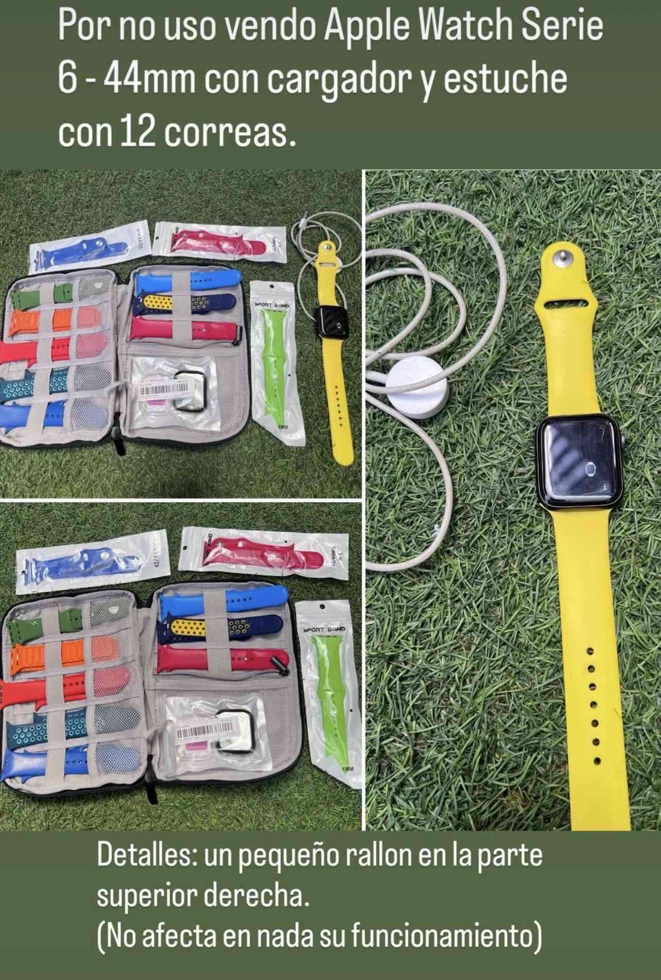 Apple Watch Serie 6 con correas - 1